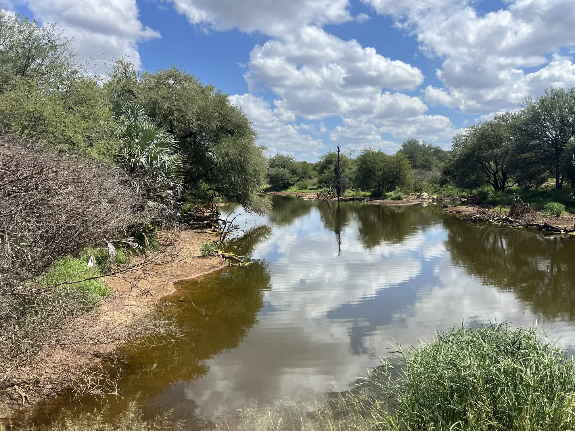 Afrique du Sud - séjour de chasse Wild Land
