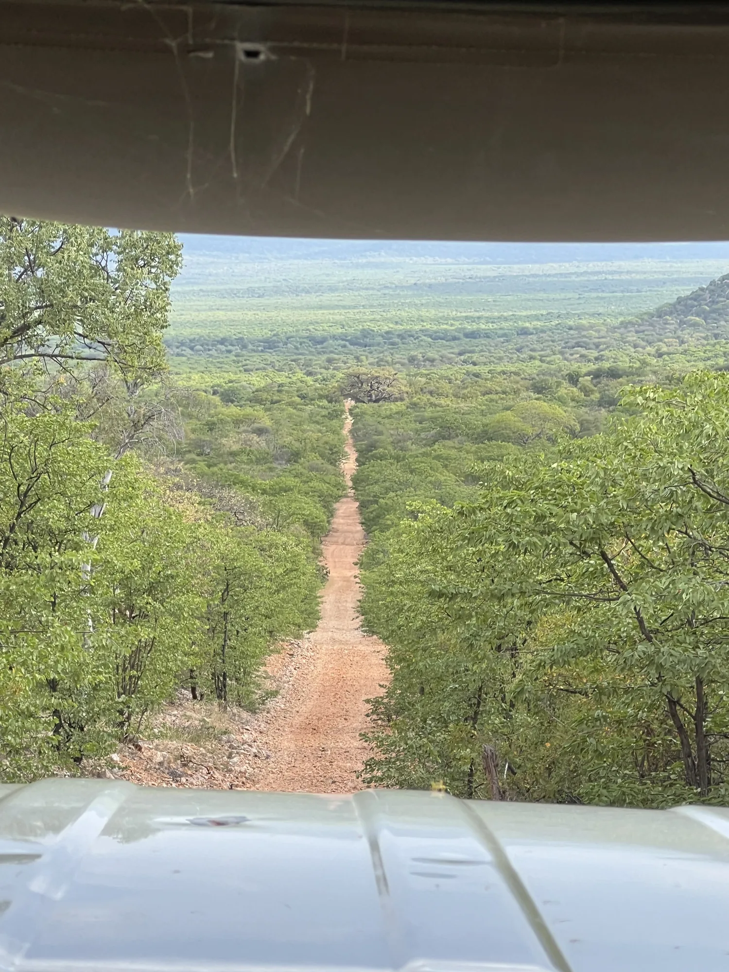 Afrique du Sud - séjour de chasse Wild Land