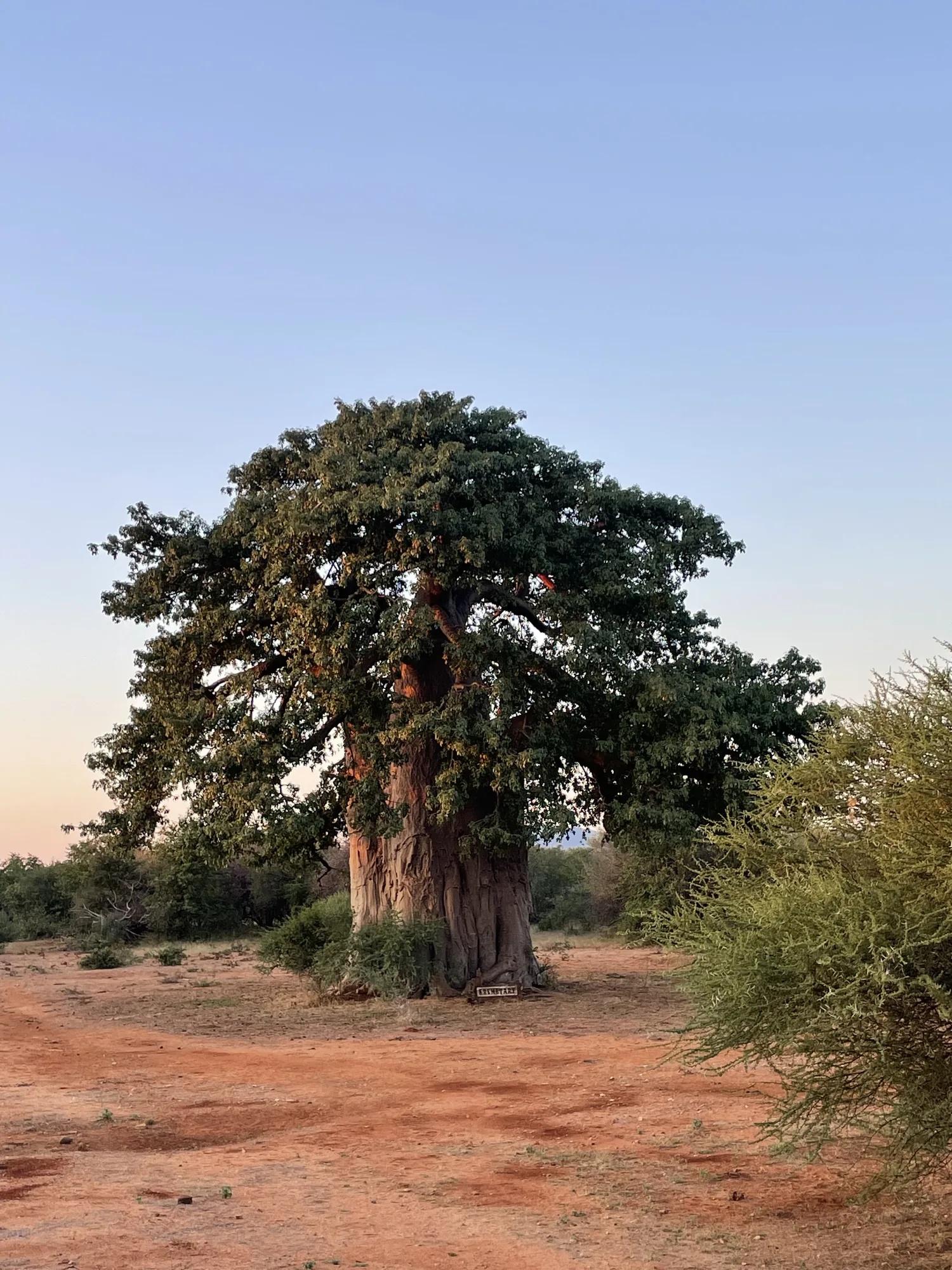 Afrique du Sud - séjour de chasse Wild Land
