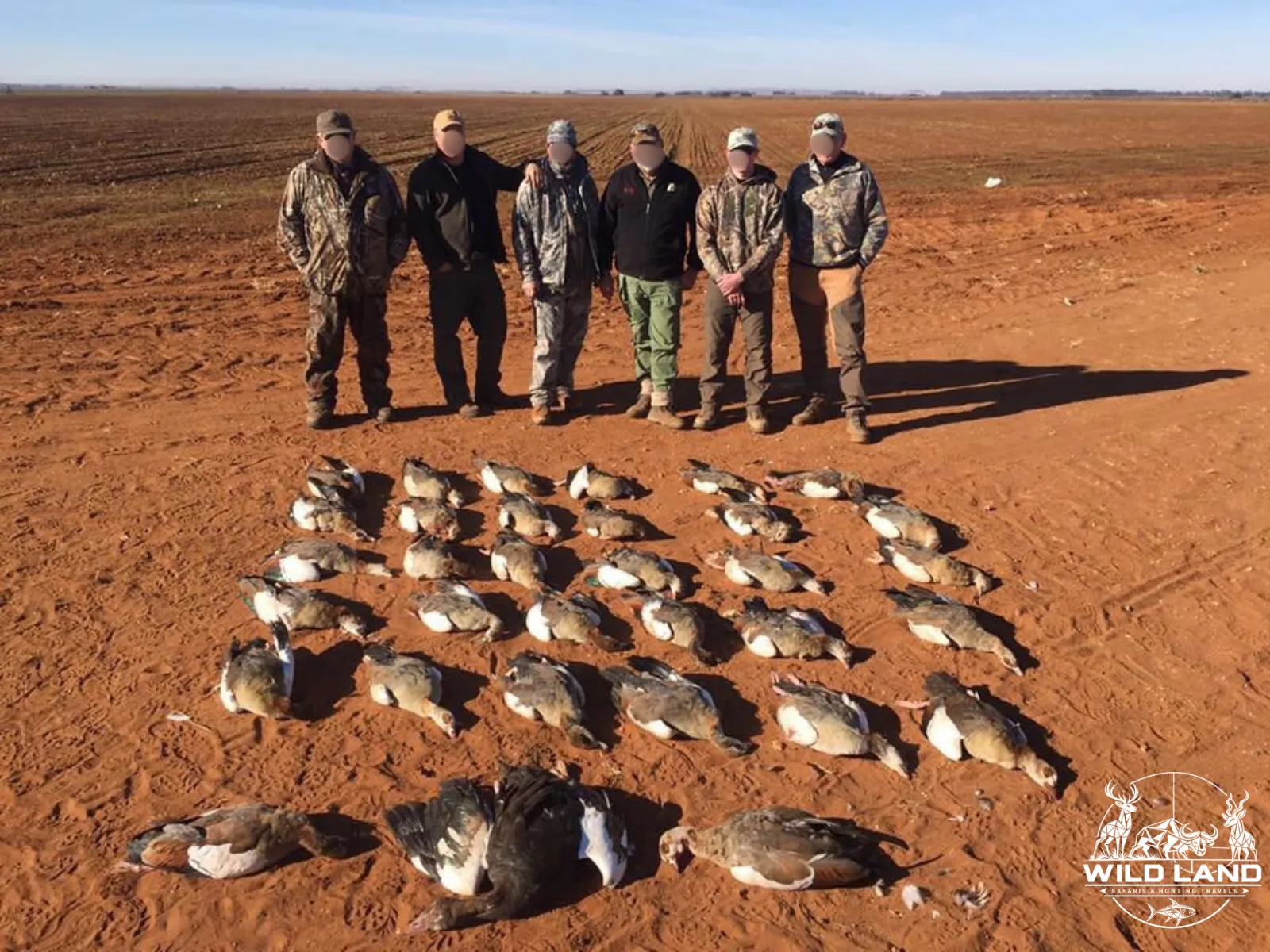 Afrique du Sud - séjour de chasse Wild Land