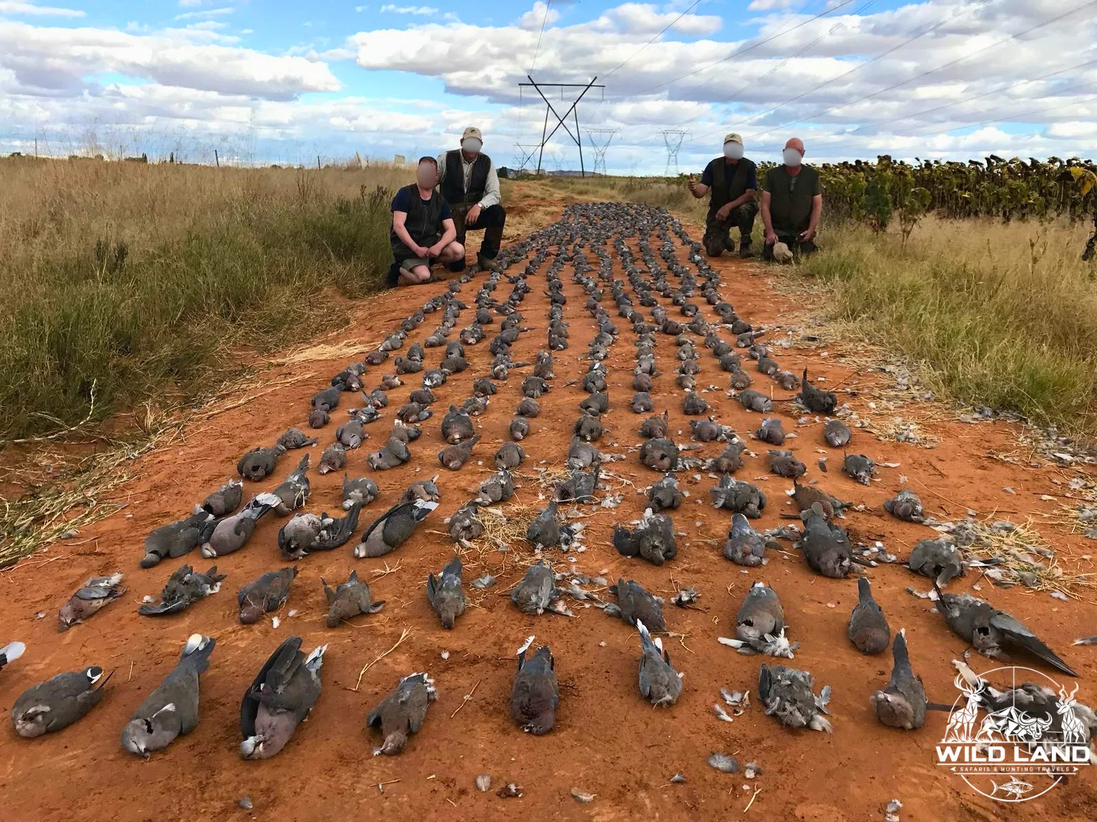 Afrique du Sud - séjour de chasse Wild Land