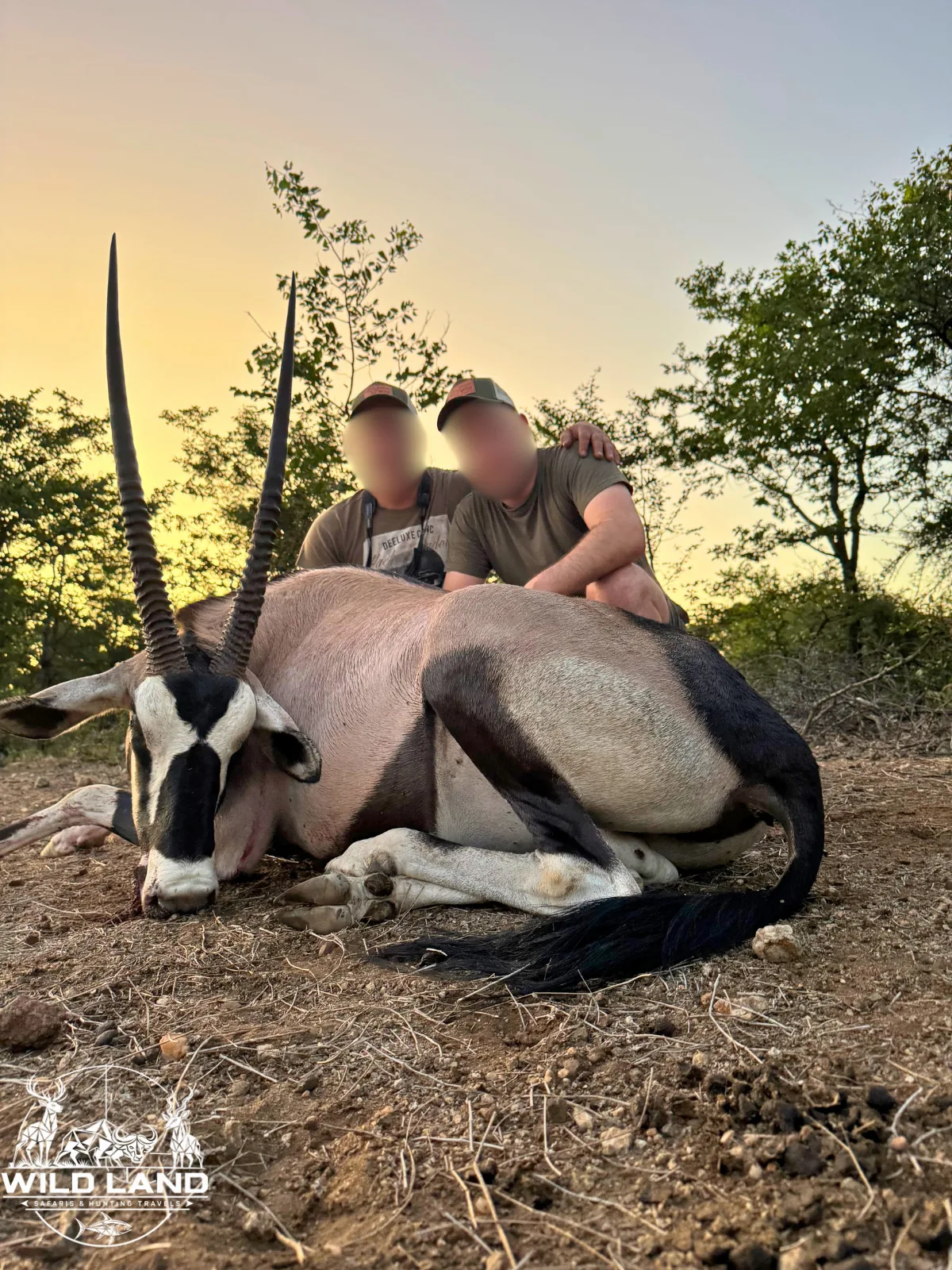 Afrique du Sud - séjour de chasse Wild Land