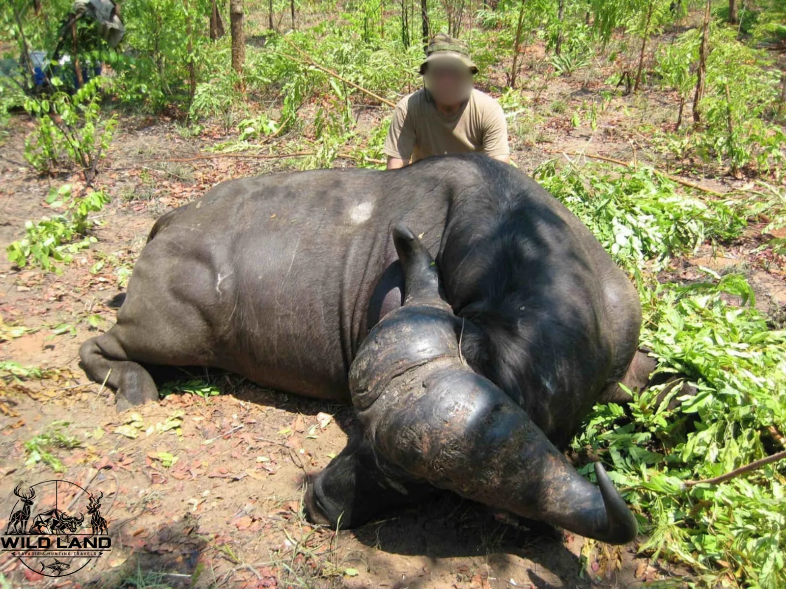 Afrique du Sud - séjour de chasse Wild Land