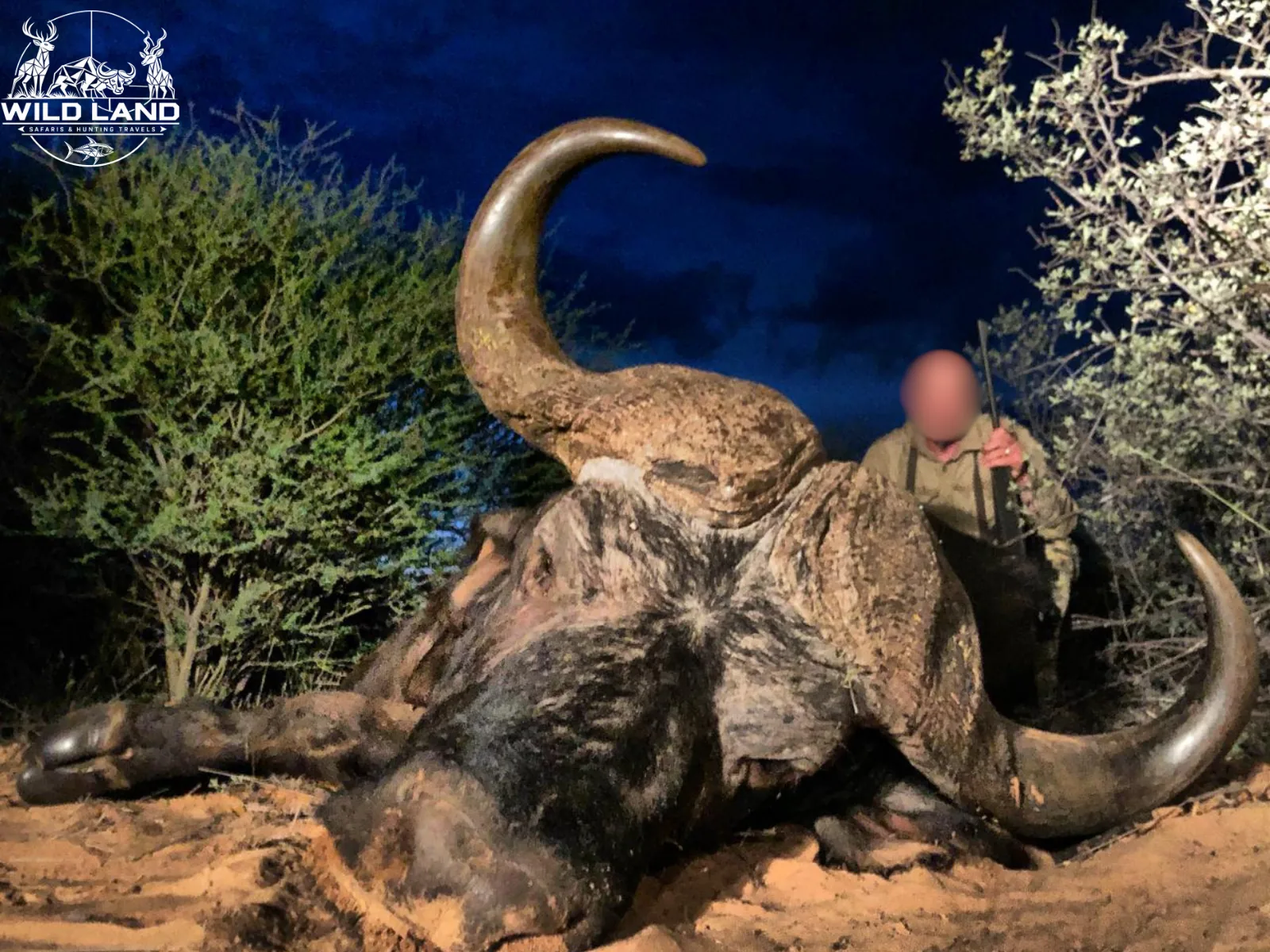 Afrique du Sud - séjour de chasse Wild Land