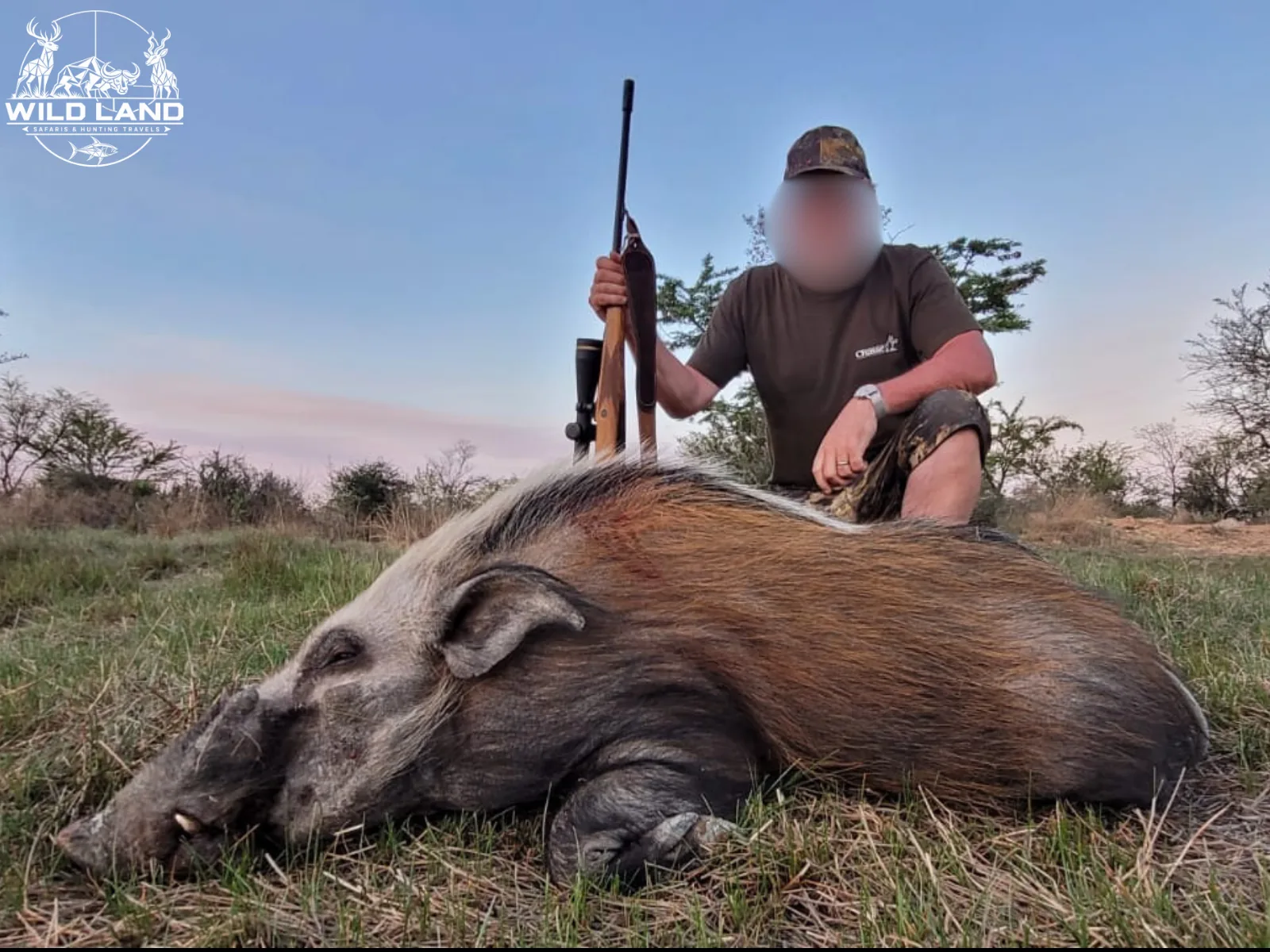 Afrique du Sud - séjour de chasse Wild Land