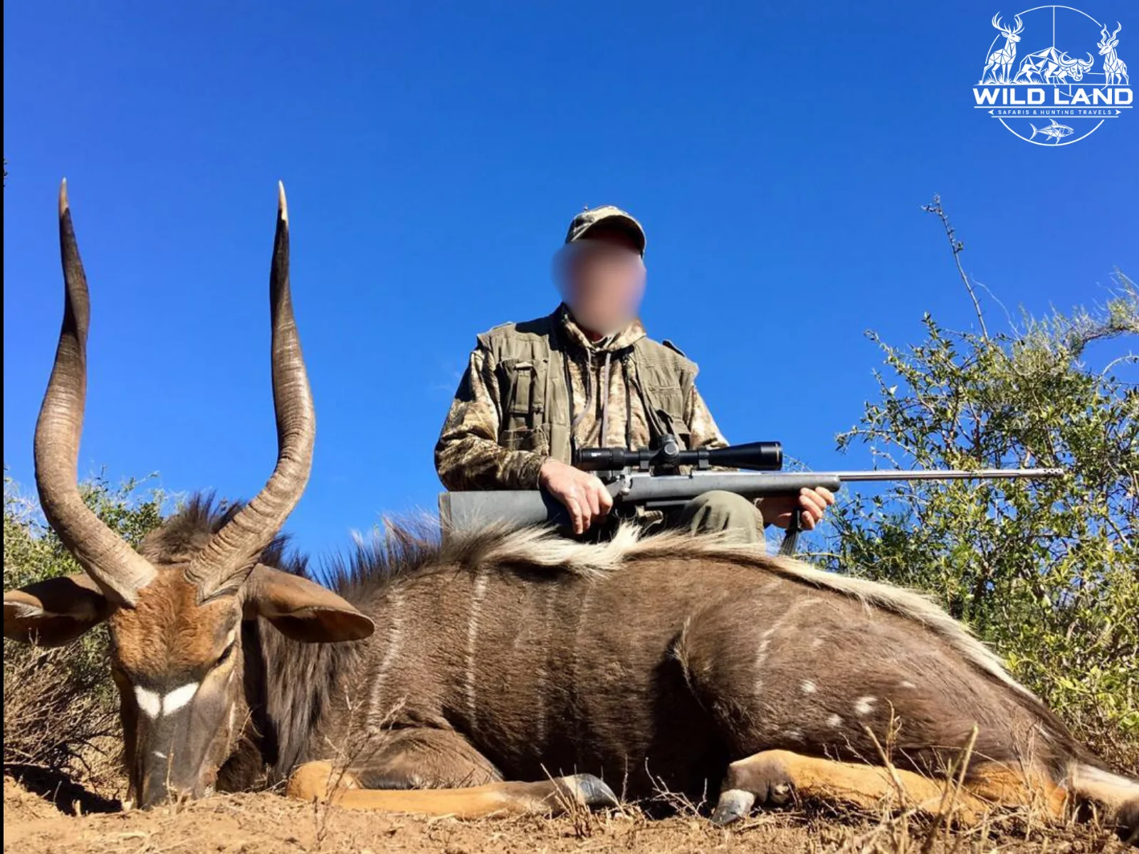 Afrique du Sud - séjour de chasse Wild Land