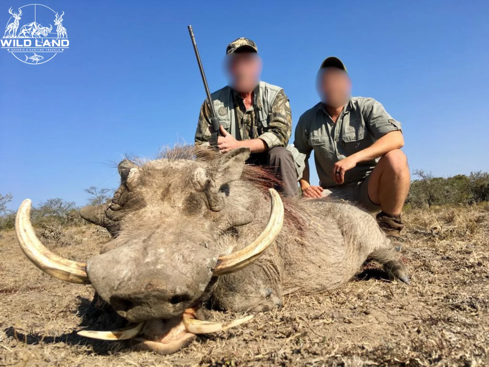 Afrique du Sud - séjour de chasse Wild Land