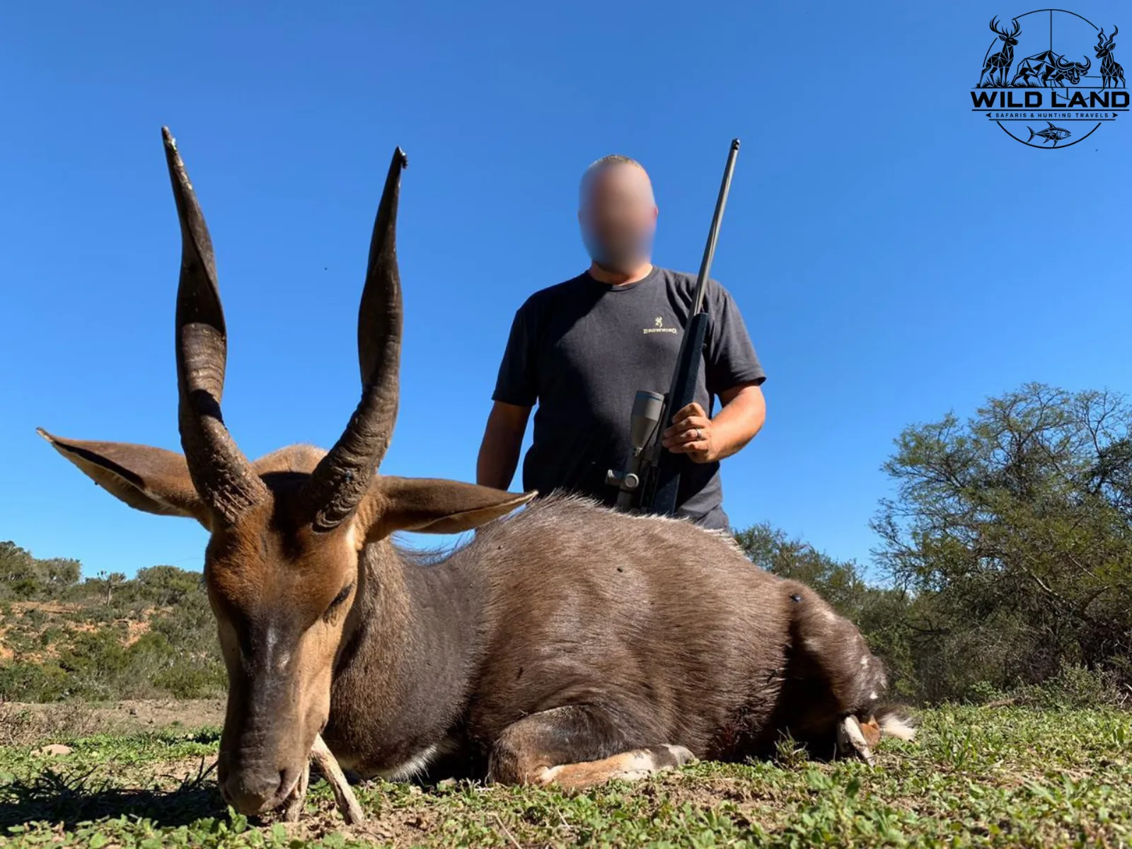 Afrique du Sud - séjour de chasse Wild Land