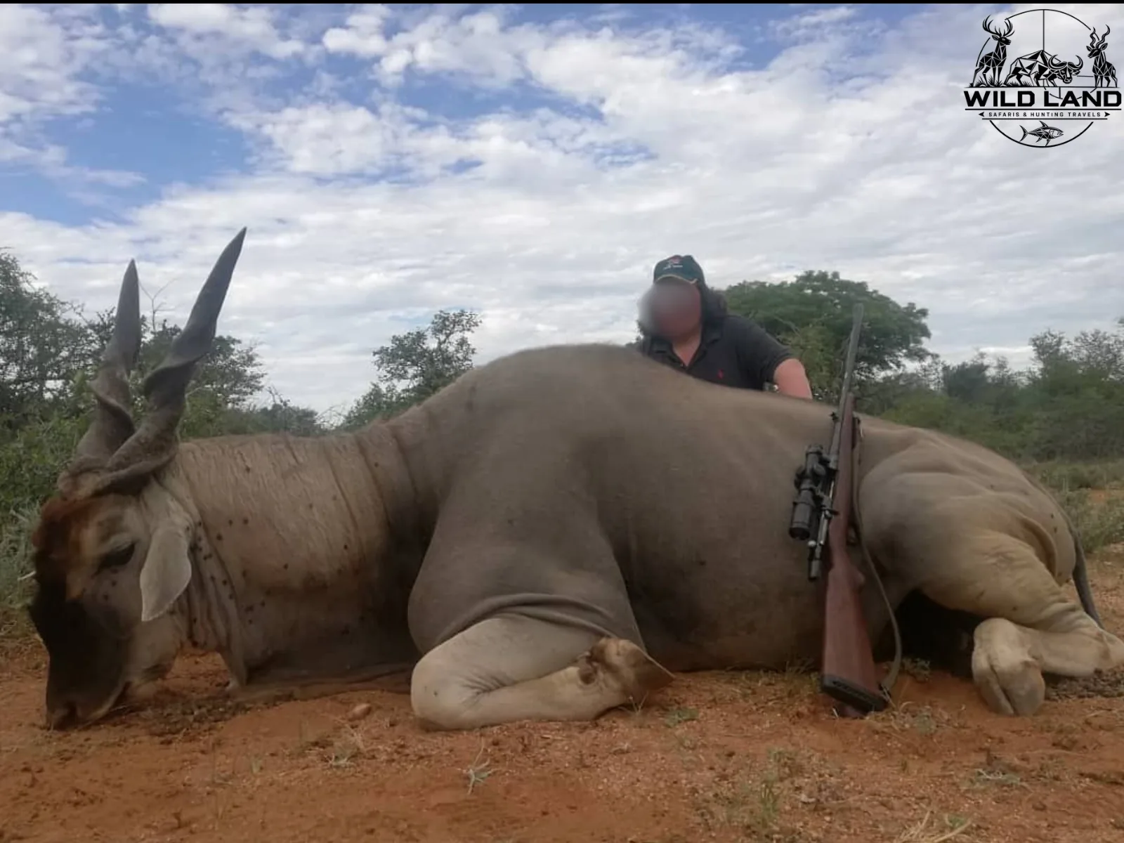Afrique du Sud - séjour de chasse Wild Land