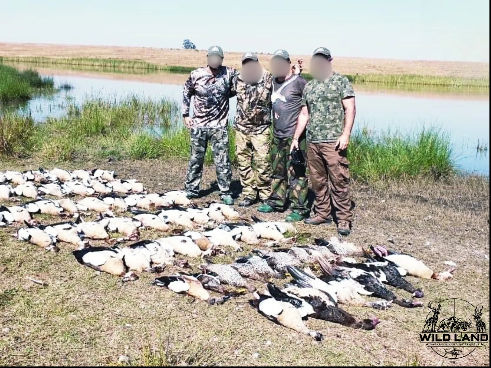 Afrique du Sud - séjour de chasse Wild Land