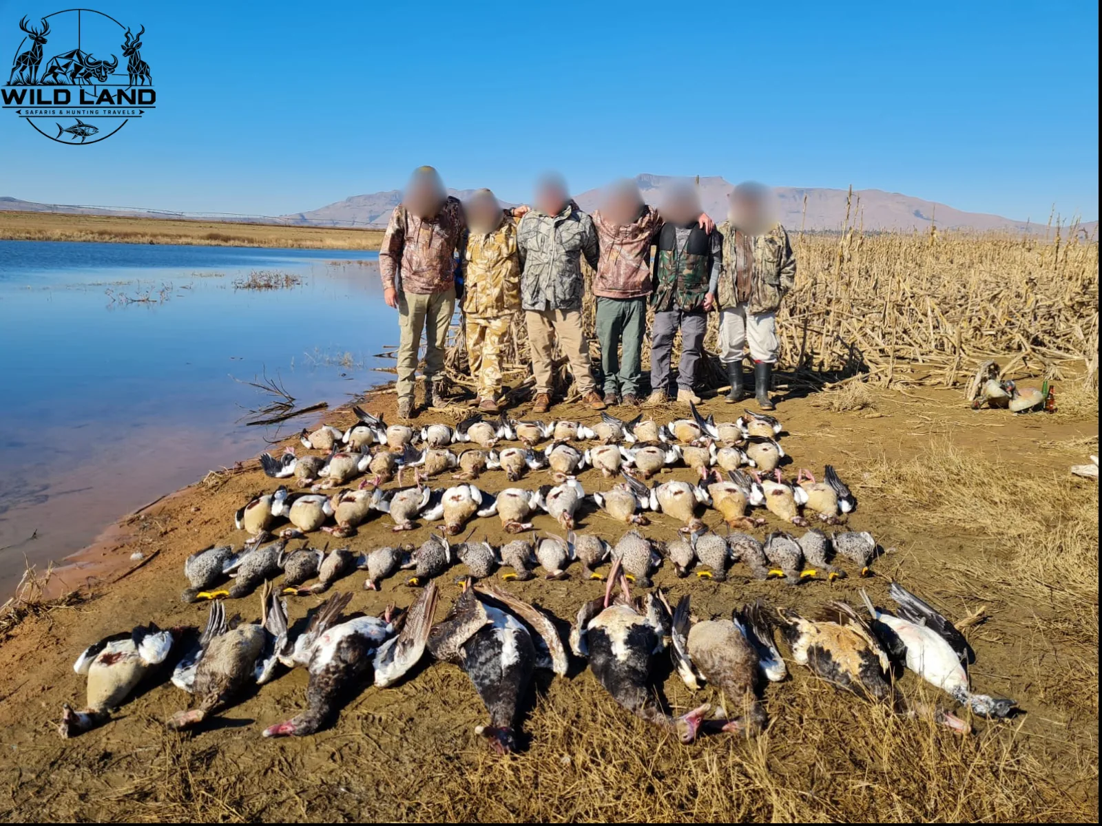 Afrique du Sud - séjour de chasse Wild Land