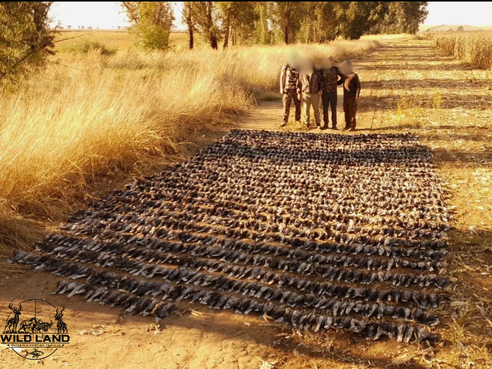 Afrique du Sud - séjour de chasse Wild Land
