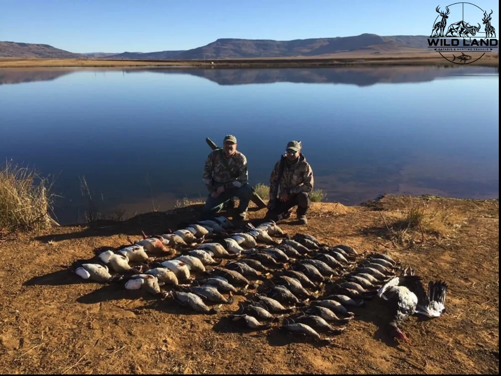 Afrique du Sud - séjour de chasse Wild Land