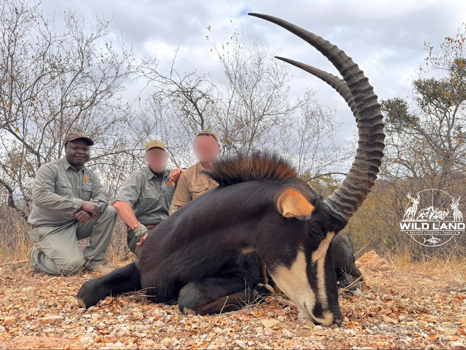 Afrique du Sud - séjour de chasse Wild Land