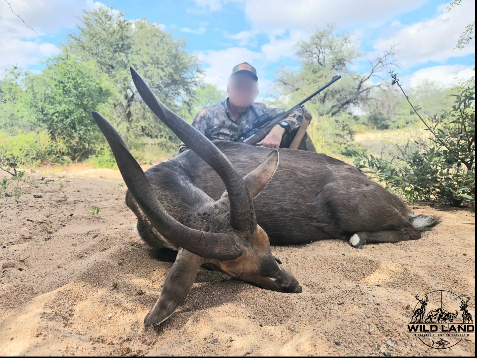 Afrique du Sud - séjour de chasse Wild Land