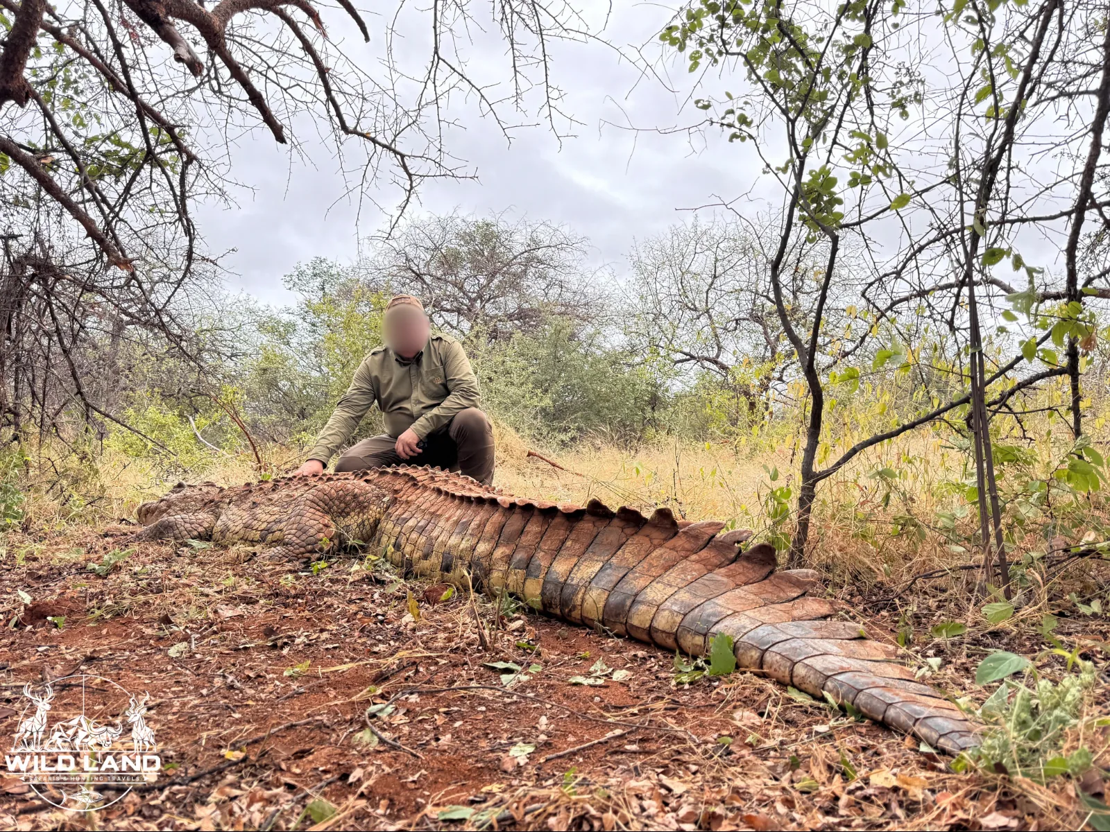 Afrique du Sud - séjour de chasse Wild Land