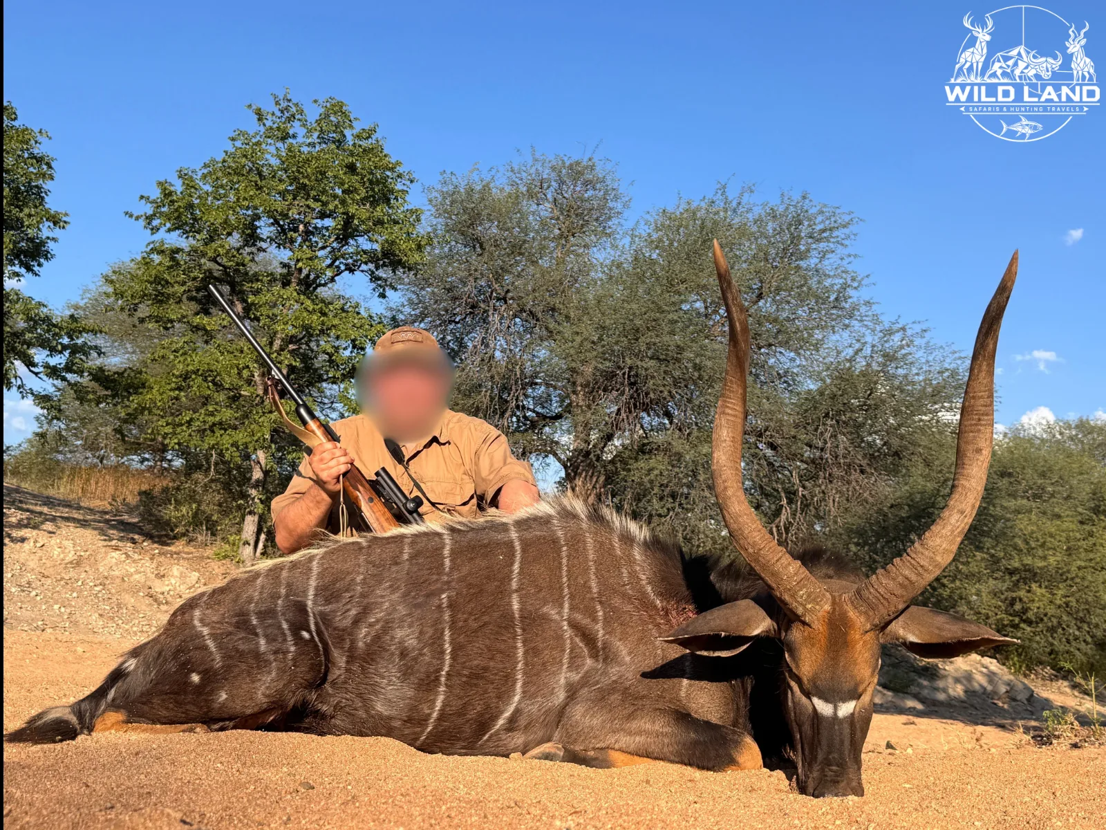 Afrique du Sud - séjour de chasse Wild Land