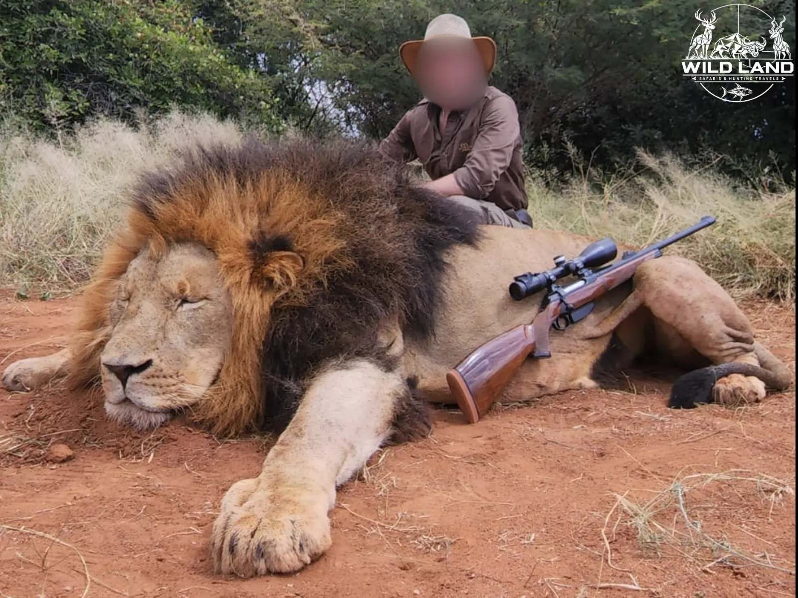 Afrique du Sud - séjour de chasse Wild Land