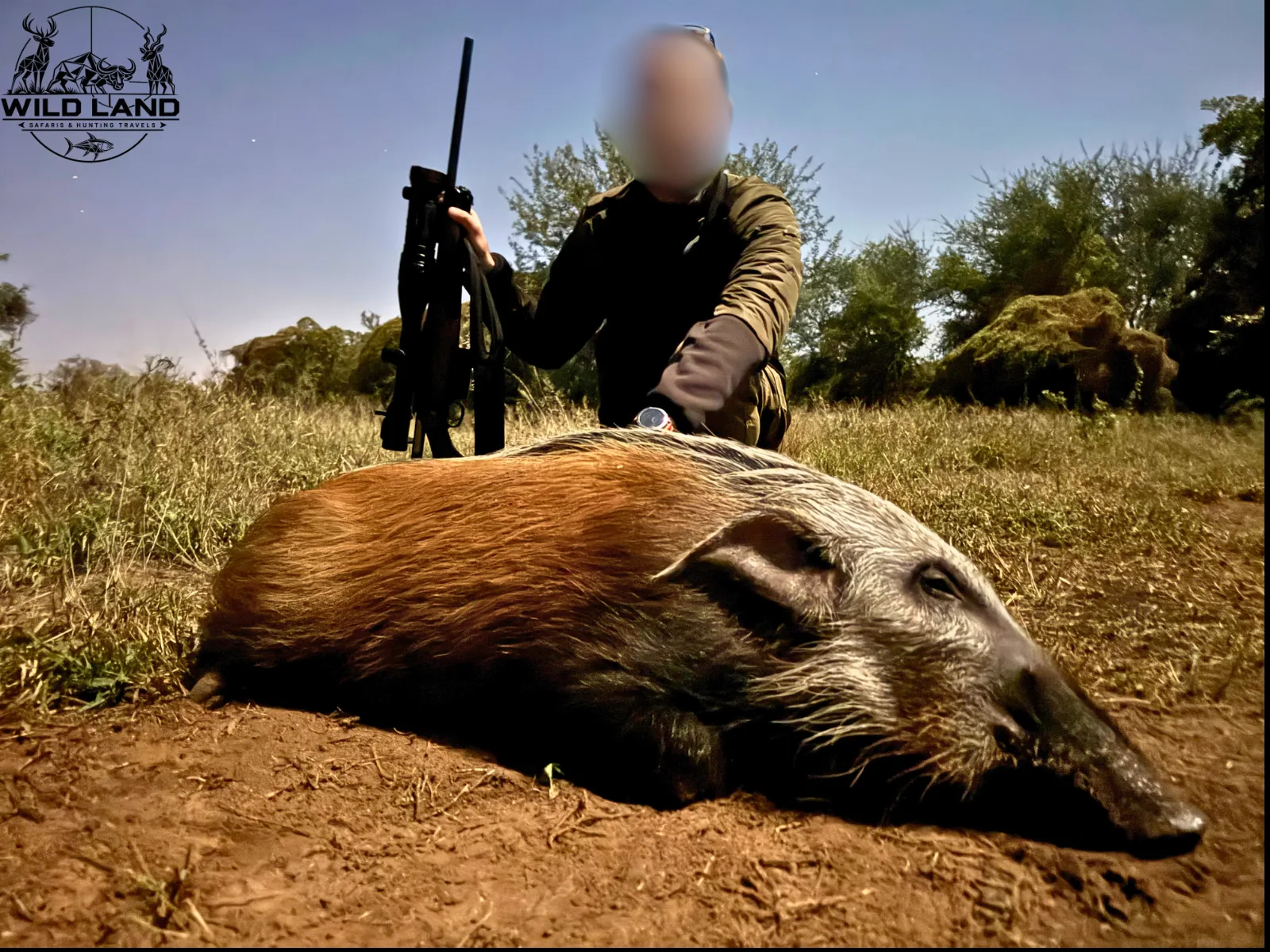 Afrique du Sud - séjour de chasse Wild Land