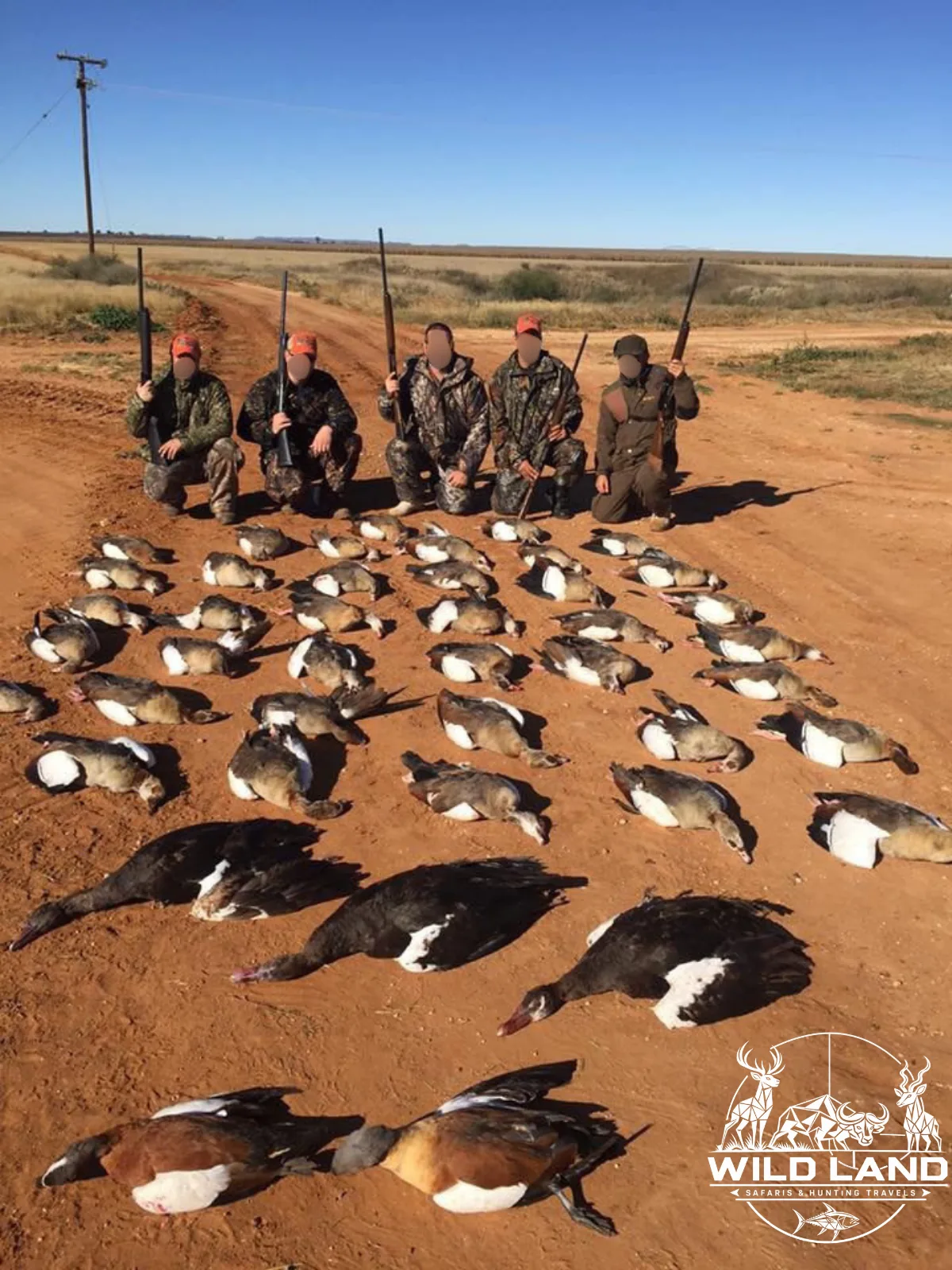 Afrique du Sud - séjour de chasse Wild Land
