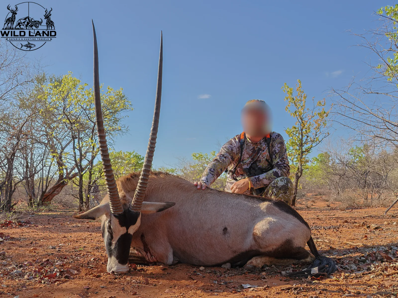 Afrique du Sud - séjour de chasse Wild Land