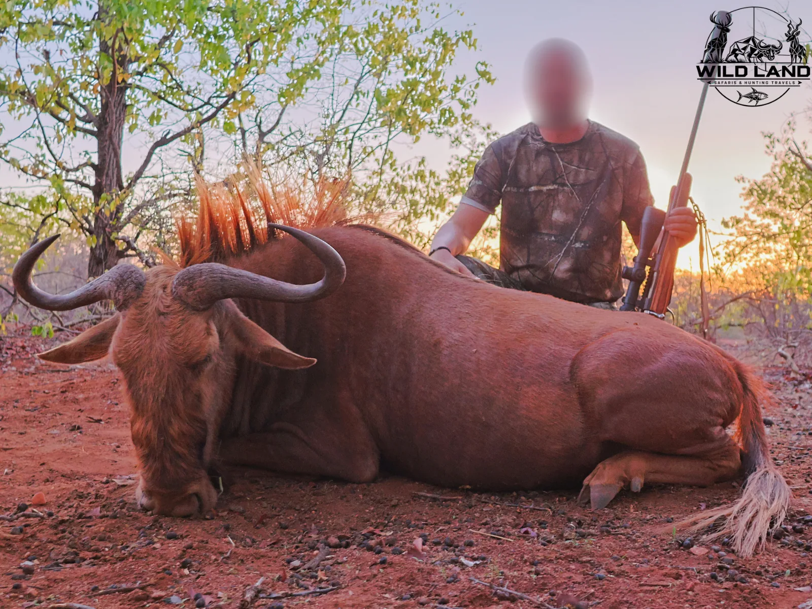 Afrique du Sud - séjour de chasse Wild Land