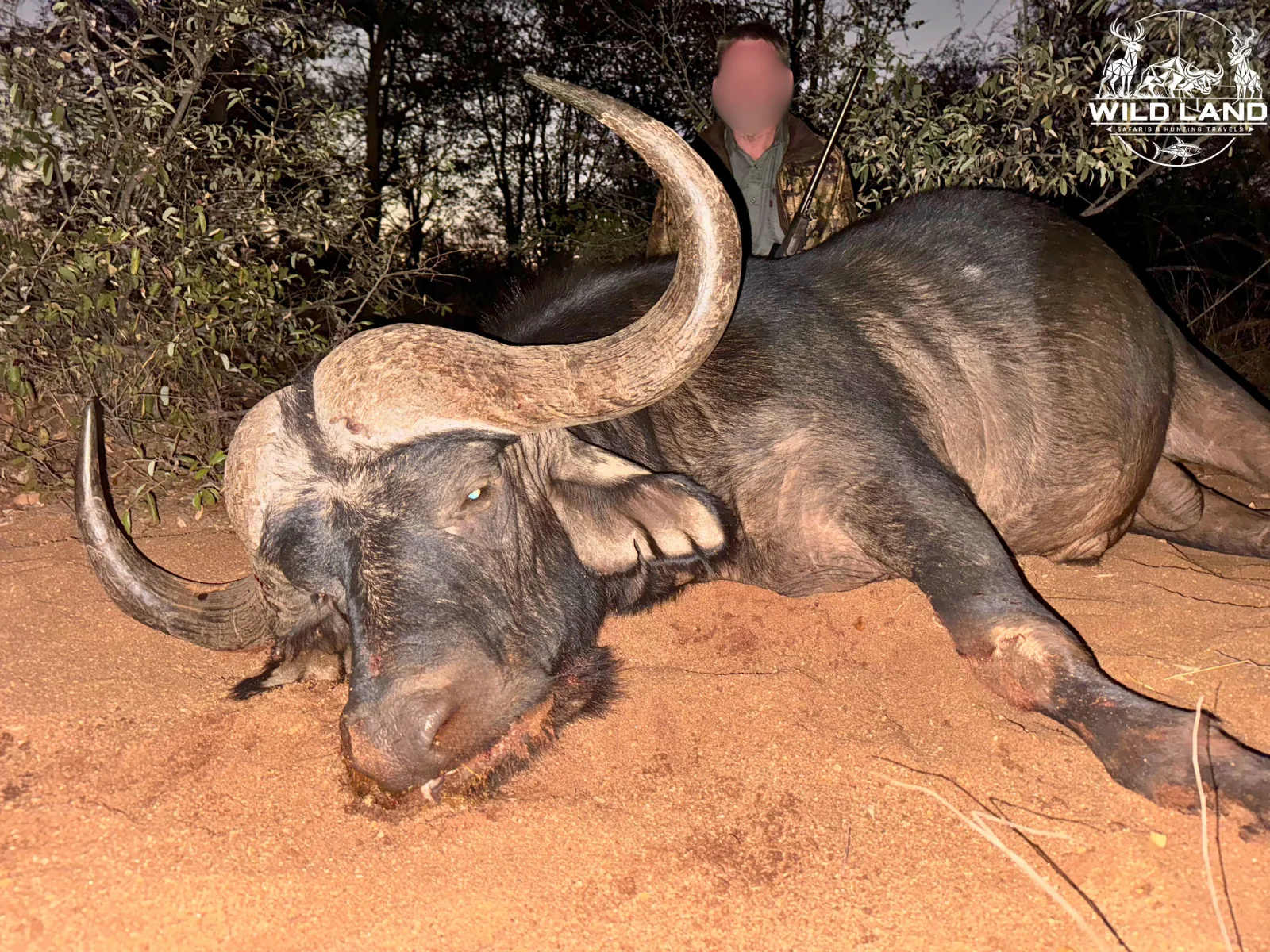 Afrique du Sud - séjour de chasse Wild Land