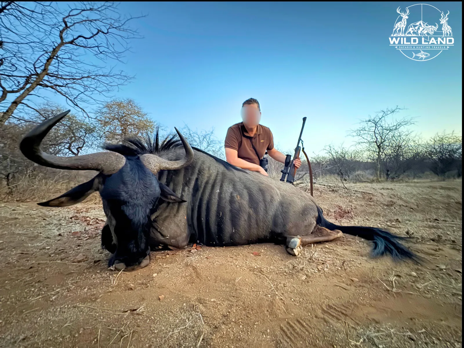 Afrique du Sud - séjour de chasse Wild Land