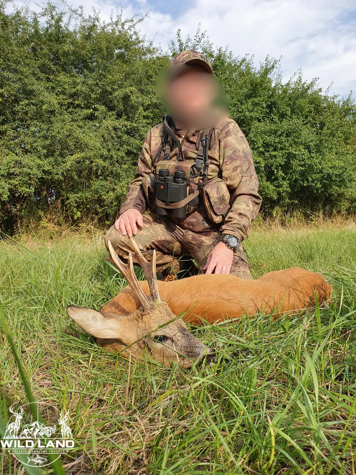 Allemagne du Nord - séjour de chasse Wild Land