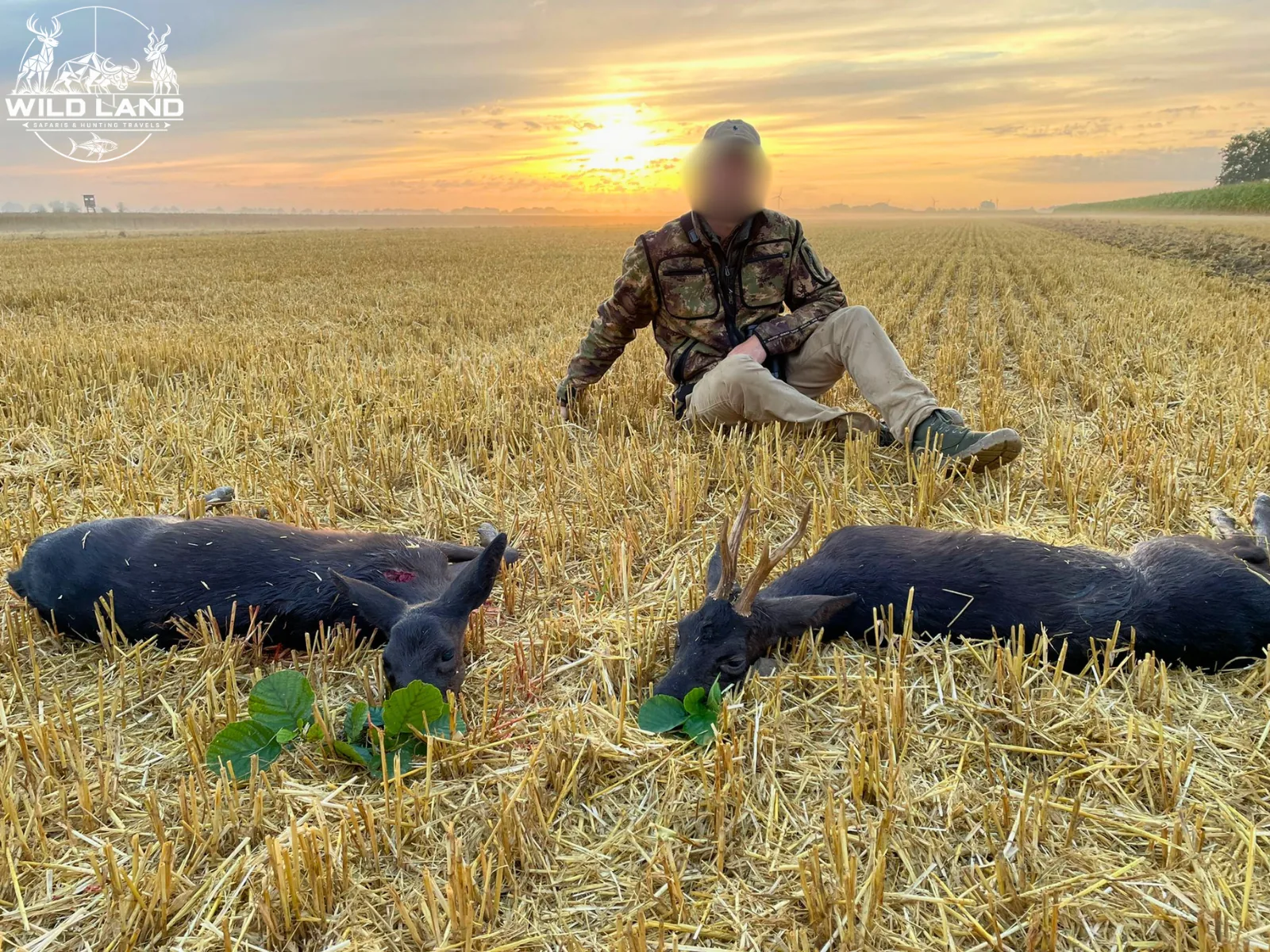 Allemagne du Nord - séjour de chasse Wild Land