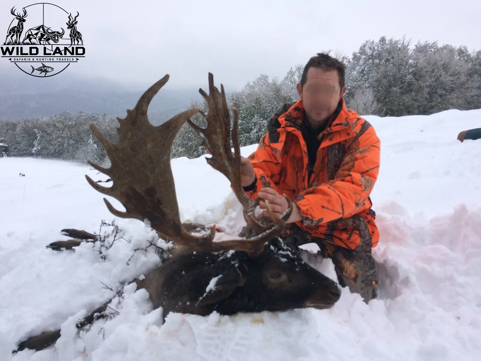 Bulgarie - séjour de chasse Wild Land