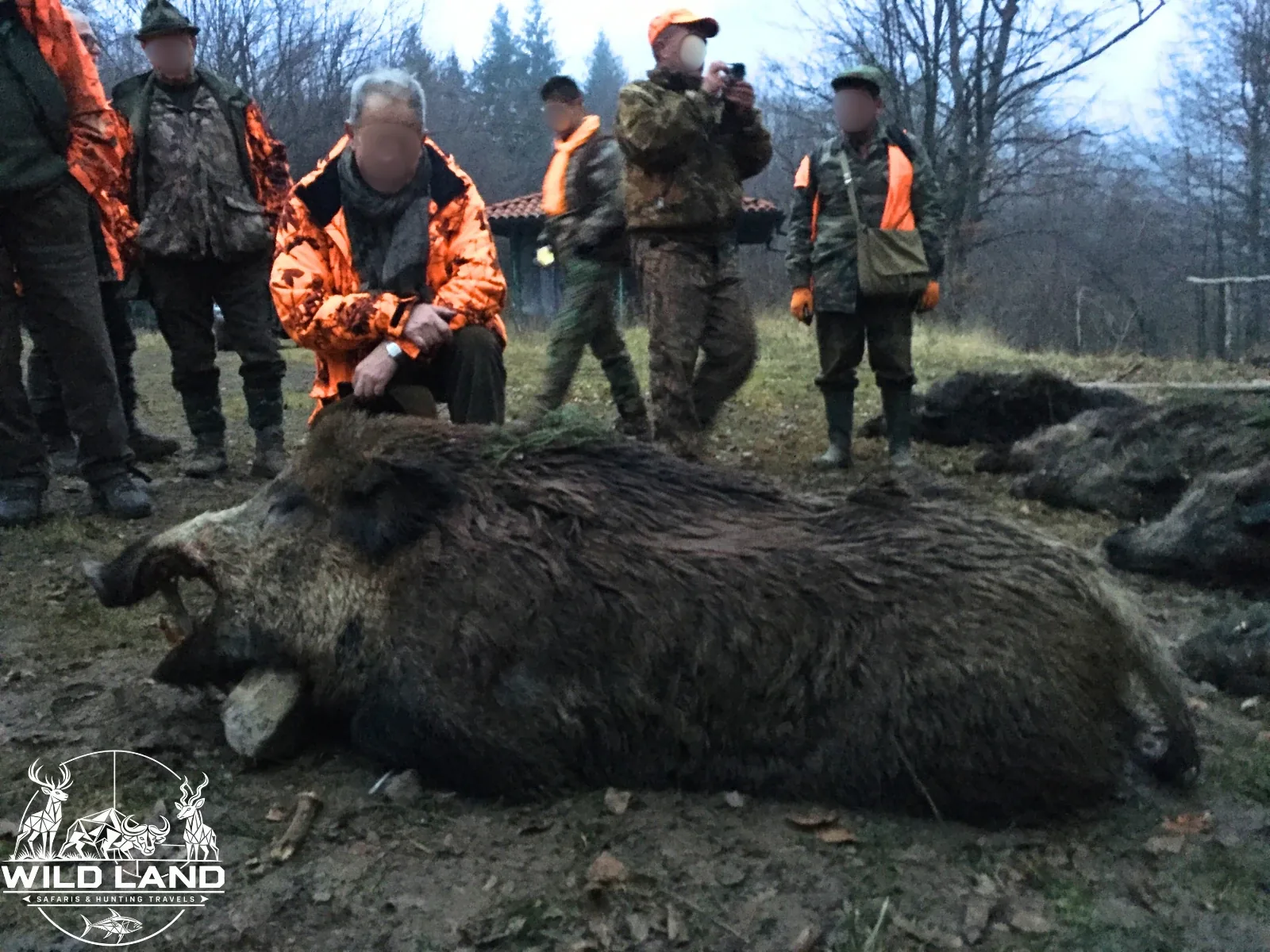 Bulgarie - séjour de chasse Wild Land