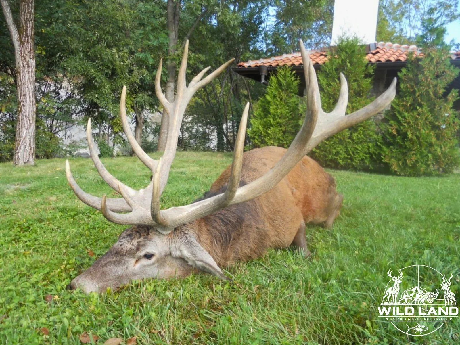 Bulgarie - séjour de chasse Wild Land