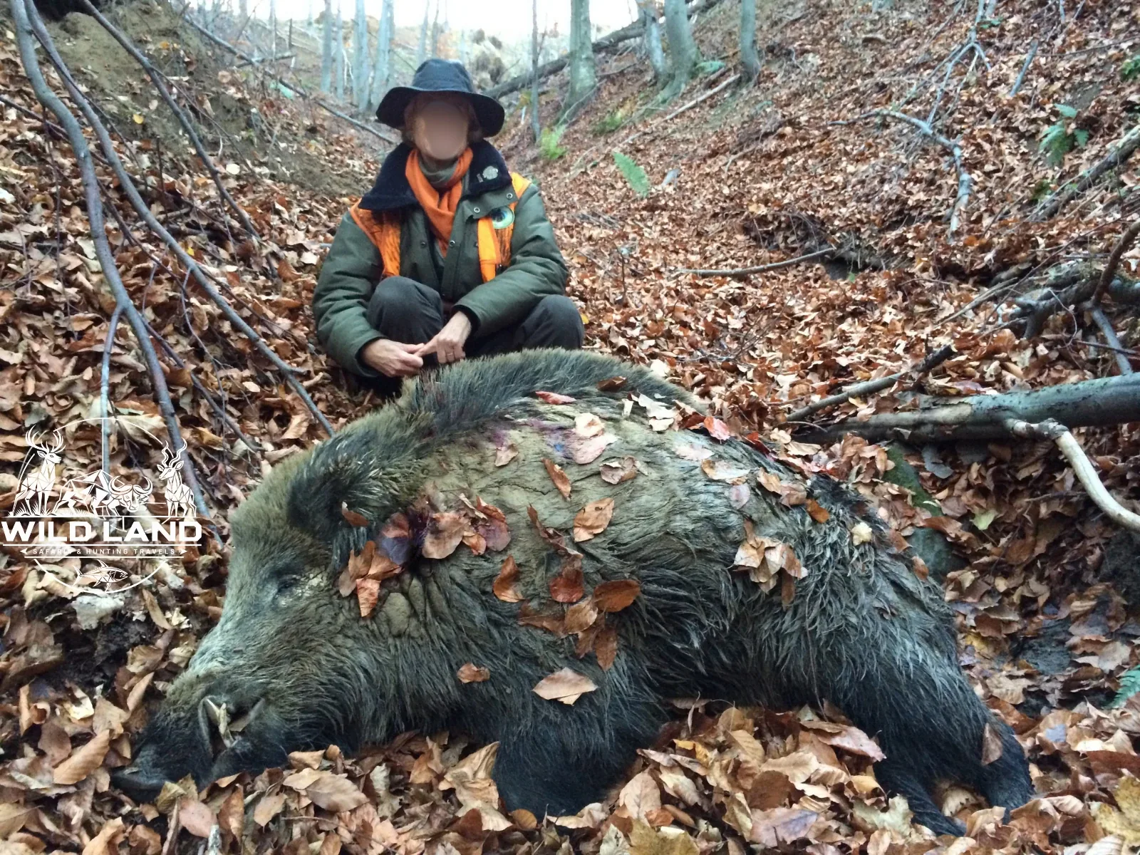 Bulgarie - séjour de chasse Wild Land