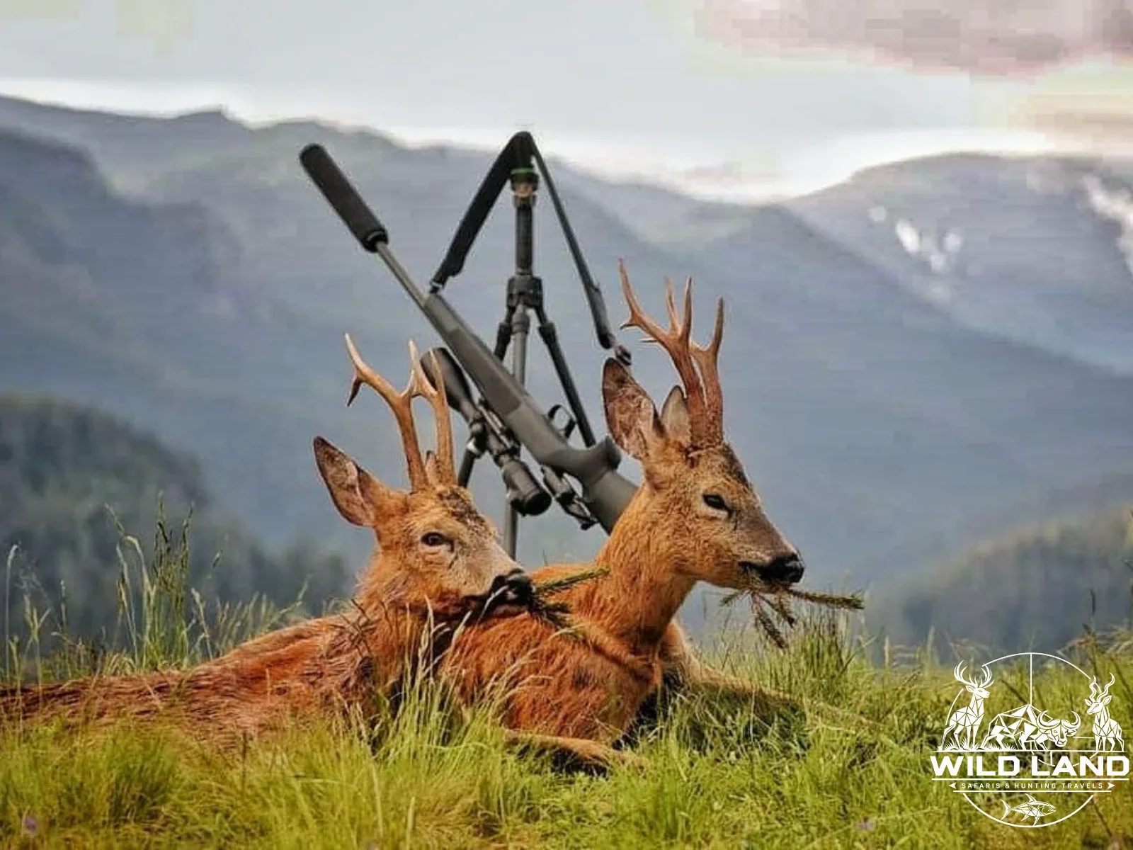 Bulgarie - séjour de chasse Wild Land