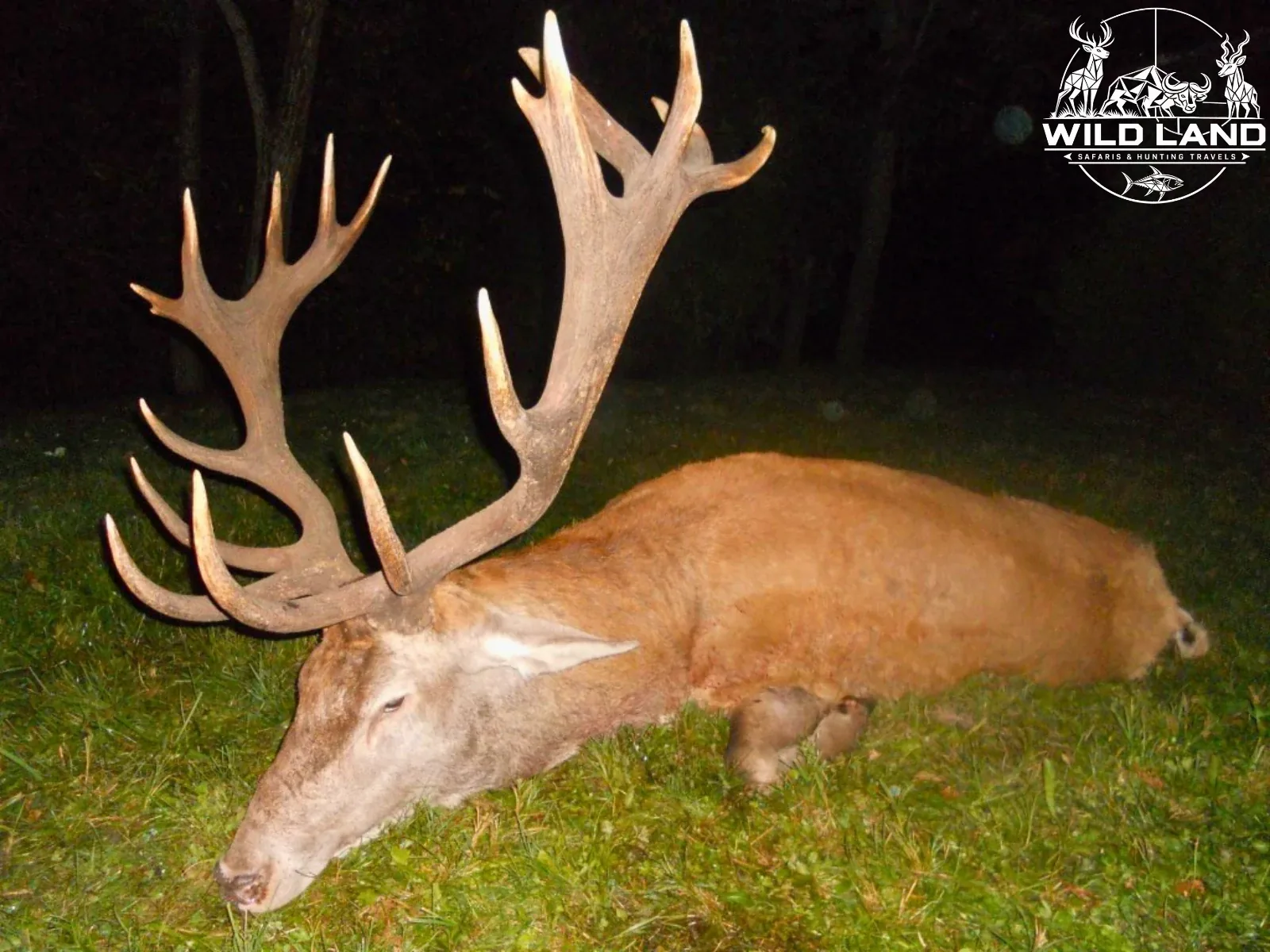 Bulgarie - séjour de chasse Wild Land