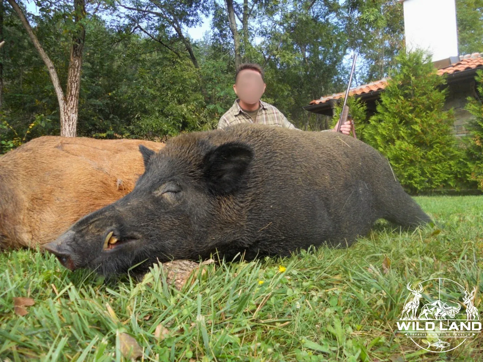 Bulgarie - séjour de chasse Wild Land