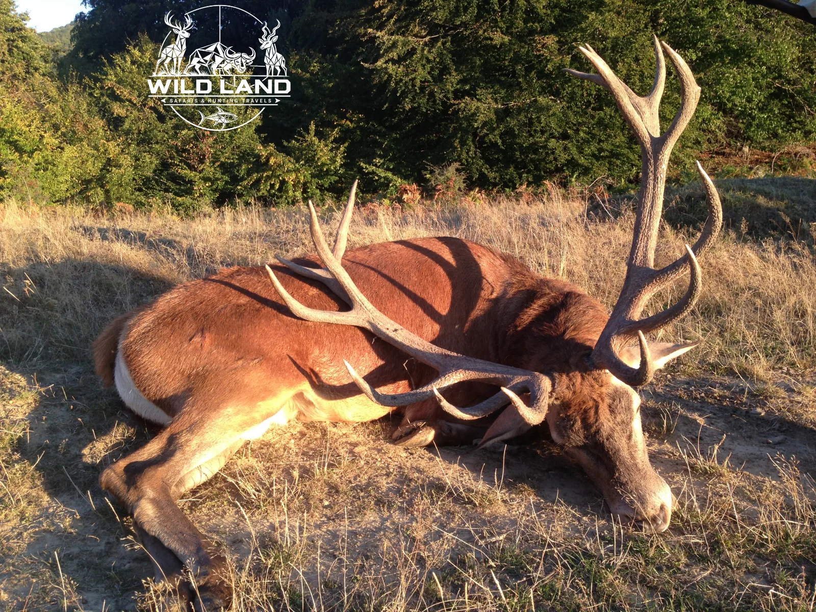 Bulgarie - séjour de chasse Wild Land