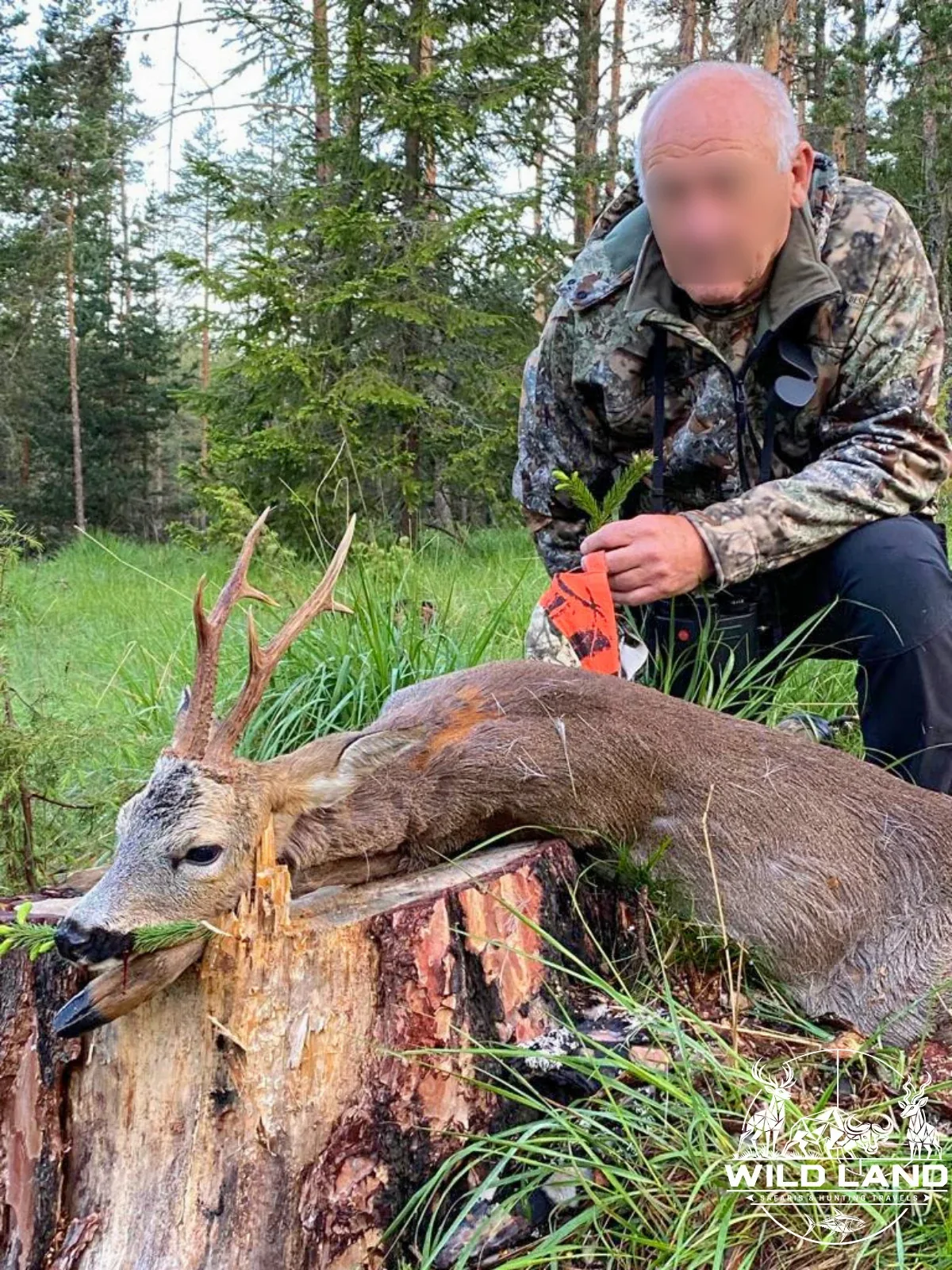 Bulgarie - séjour de chasse Wild Land