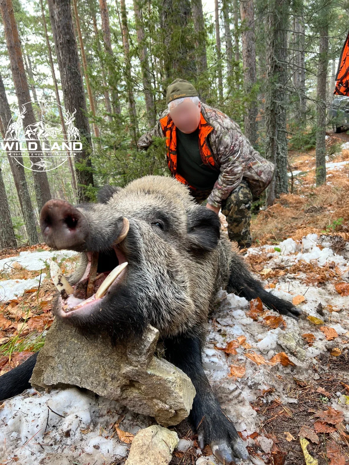 Bulgarie - séjour de chasse Wild Land