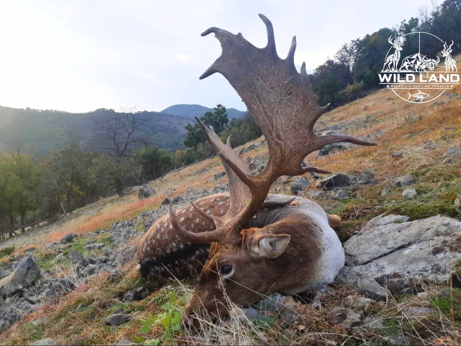 Bulgarie - séjour de chasse Wild Land
