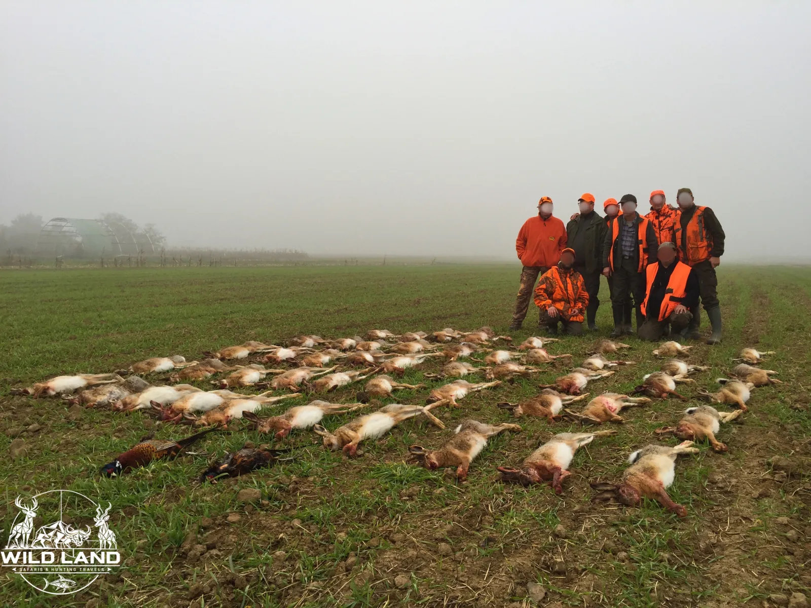 Bulgarie - séjour de chasse Wild Land