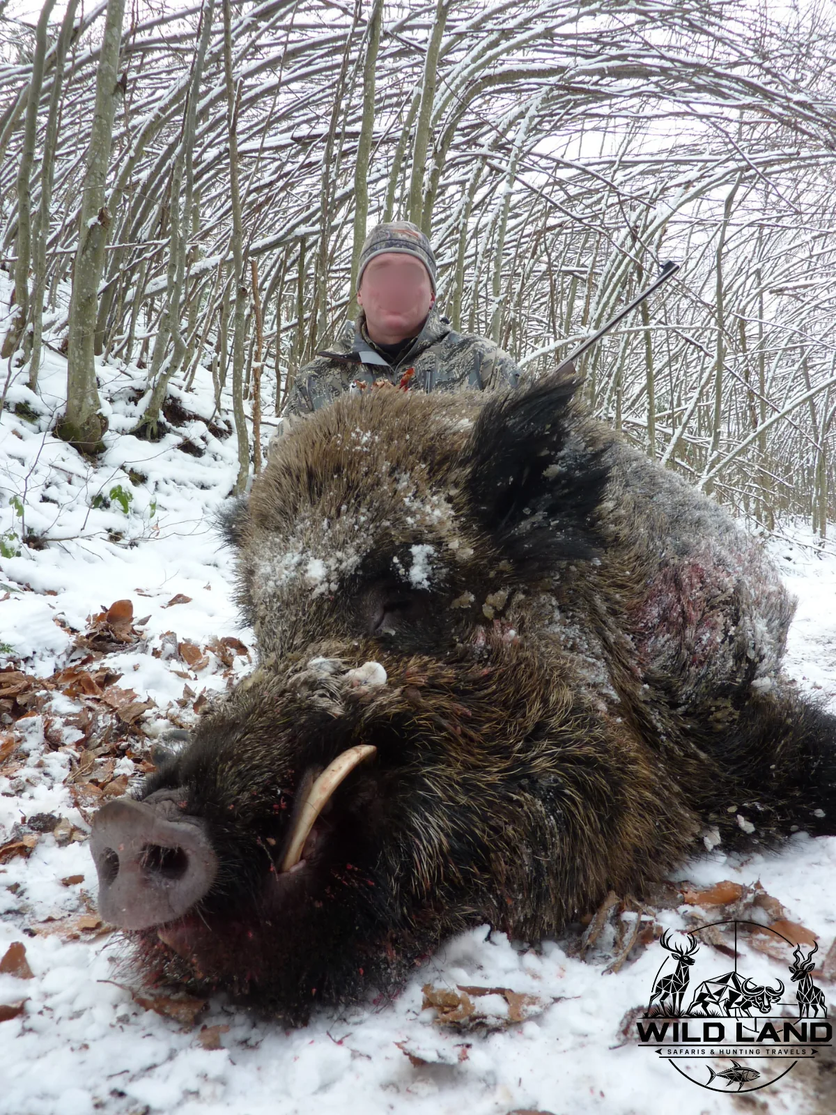 Bulgarie - séjour de chasse Wild Land