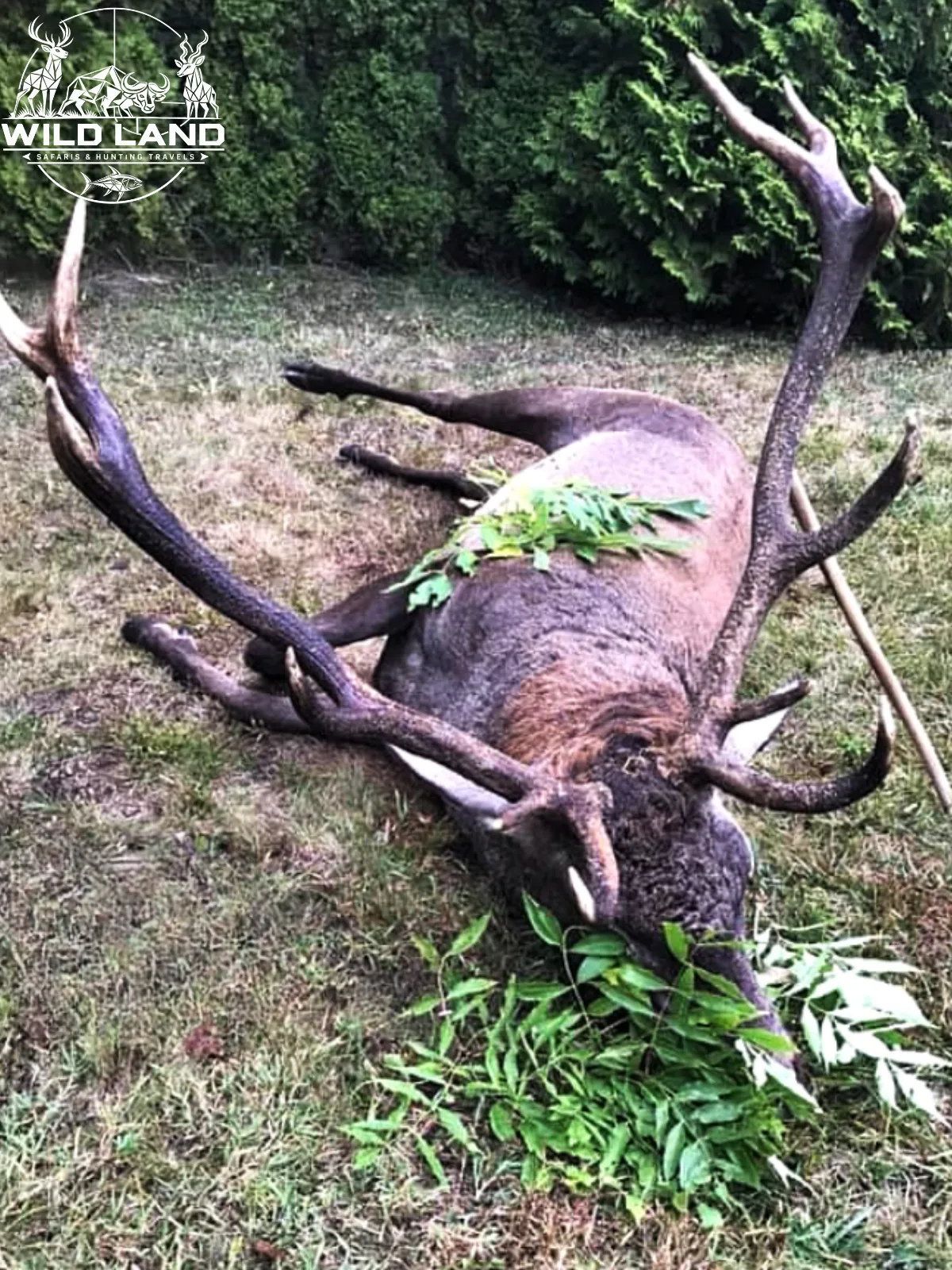 Bulgarie - séjour de chasse Wild Land