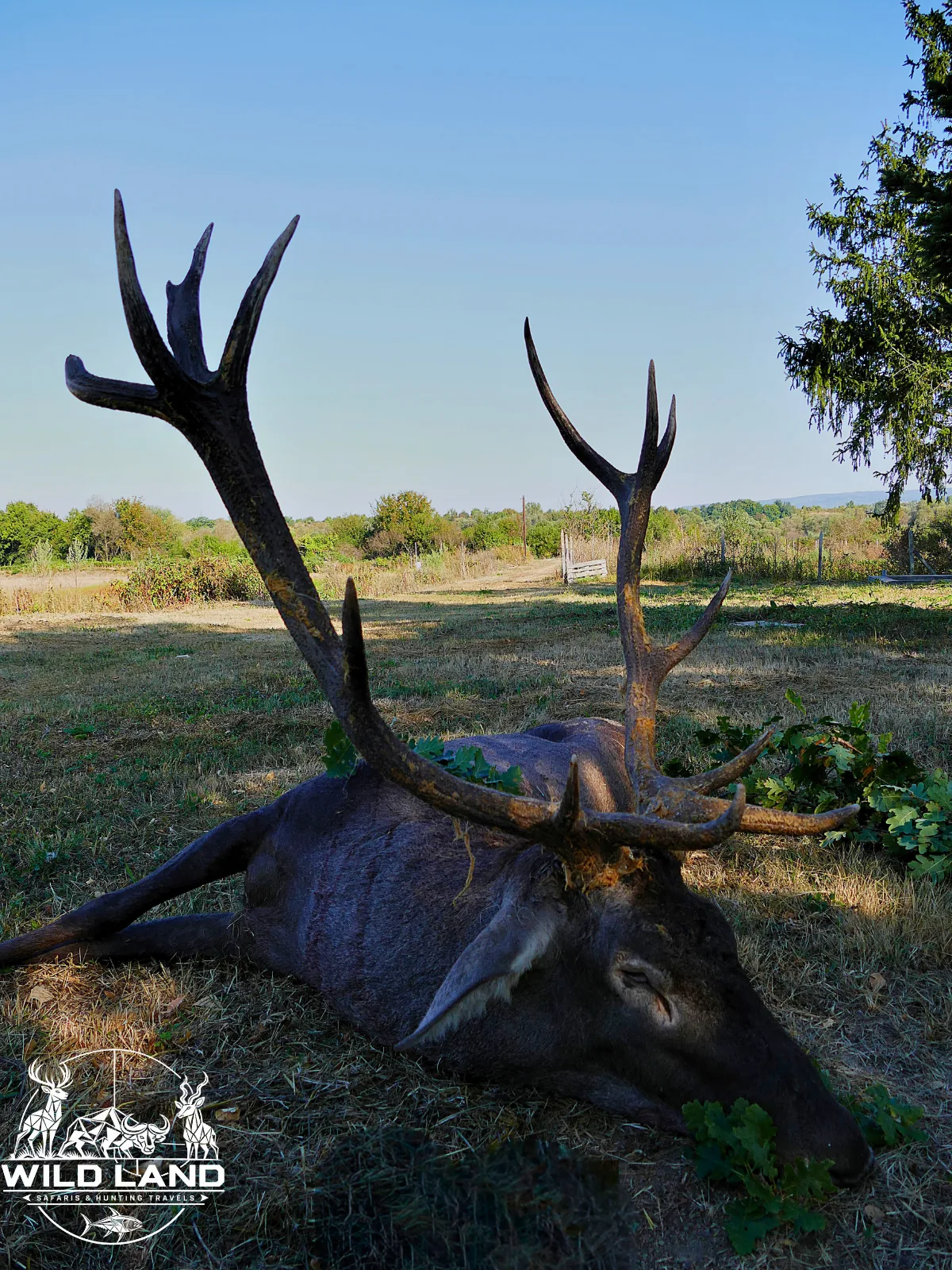 Bulgarie - séjour de chasse Wild Land