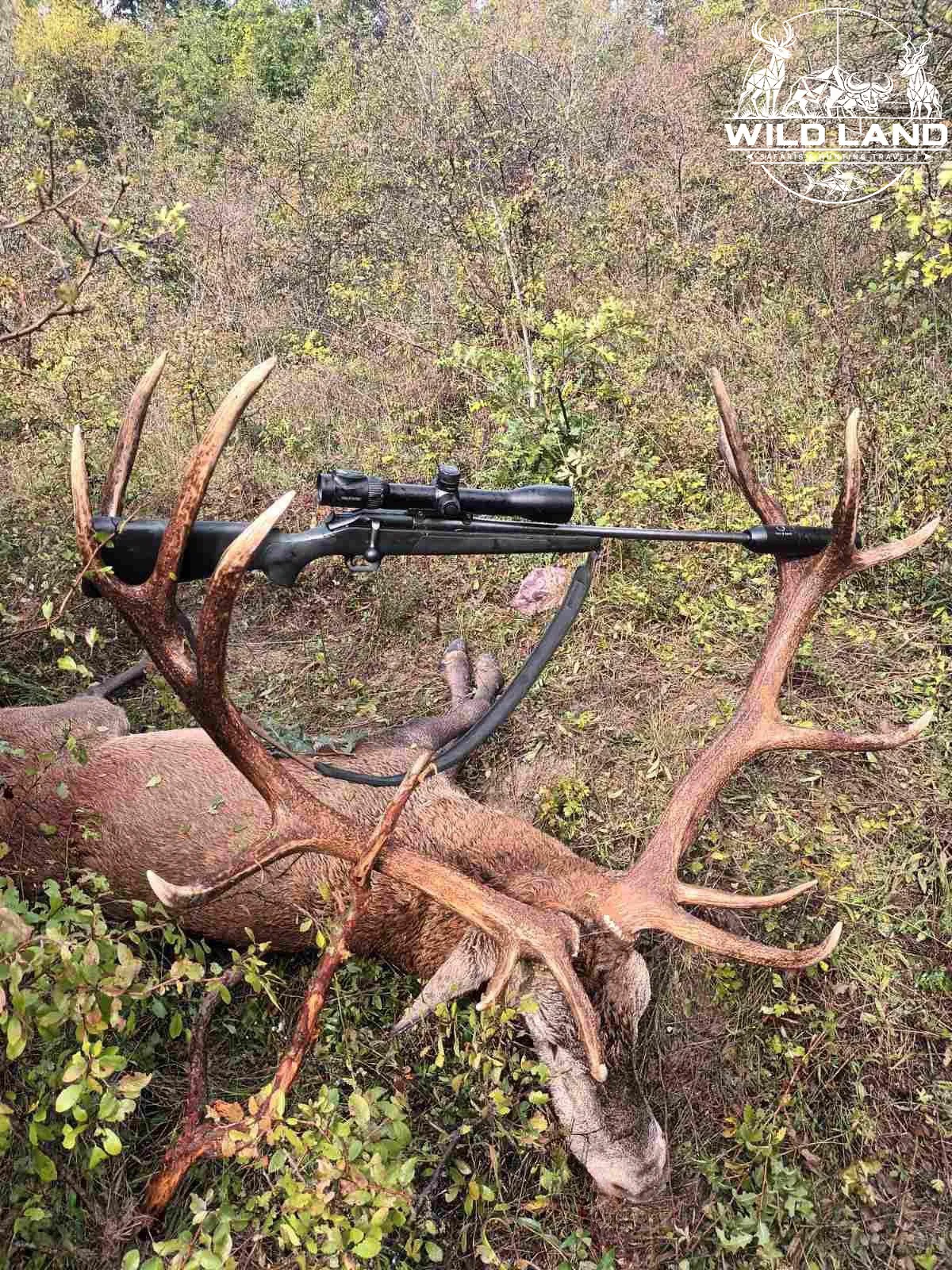 Bulgarie - séjour de chasse Wild Land