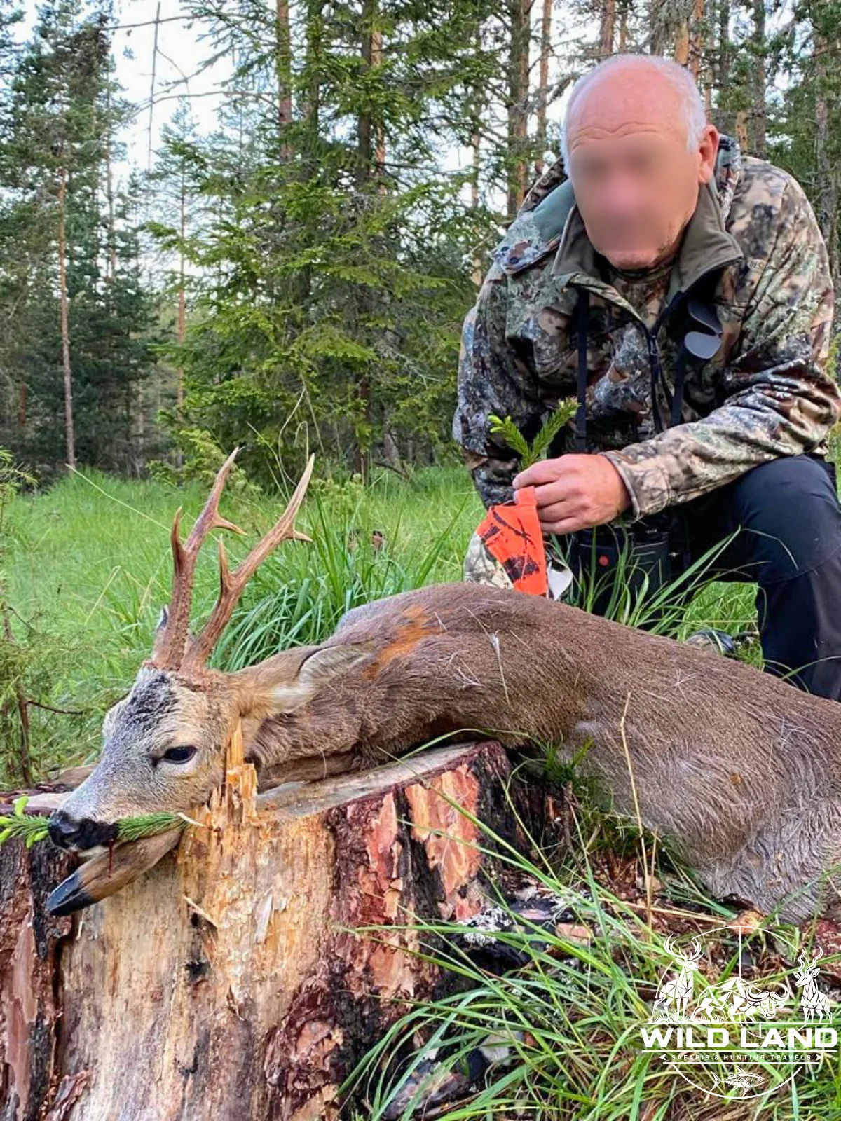Bulgarie - séjour de chasse Wild Land