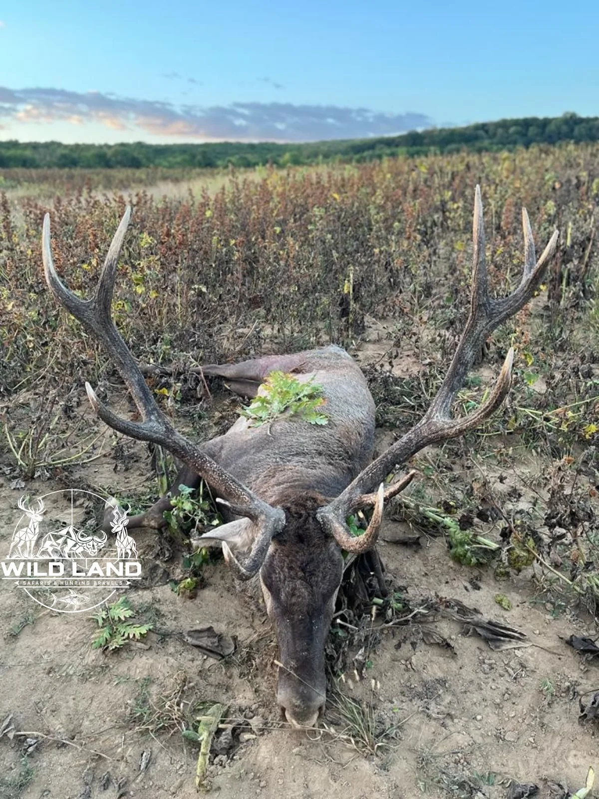 Bulgarie - séjour de chasse Wild Land