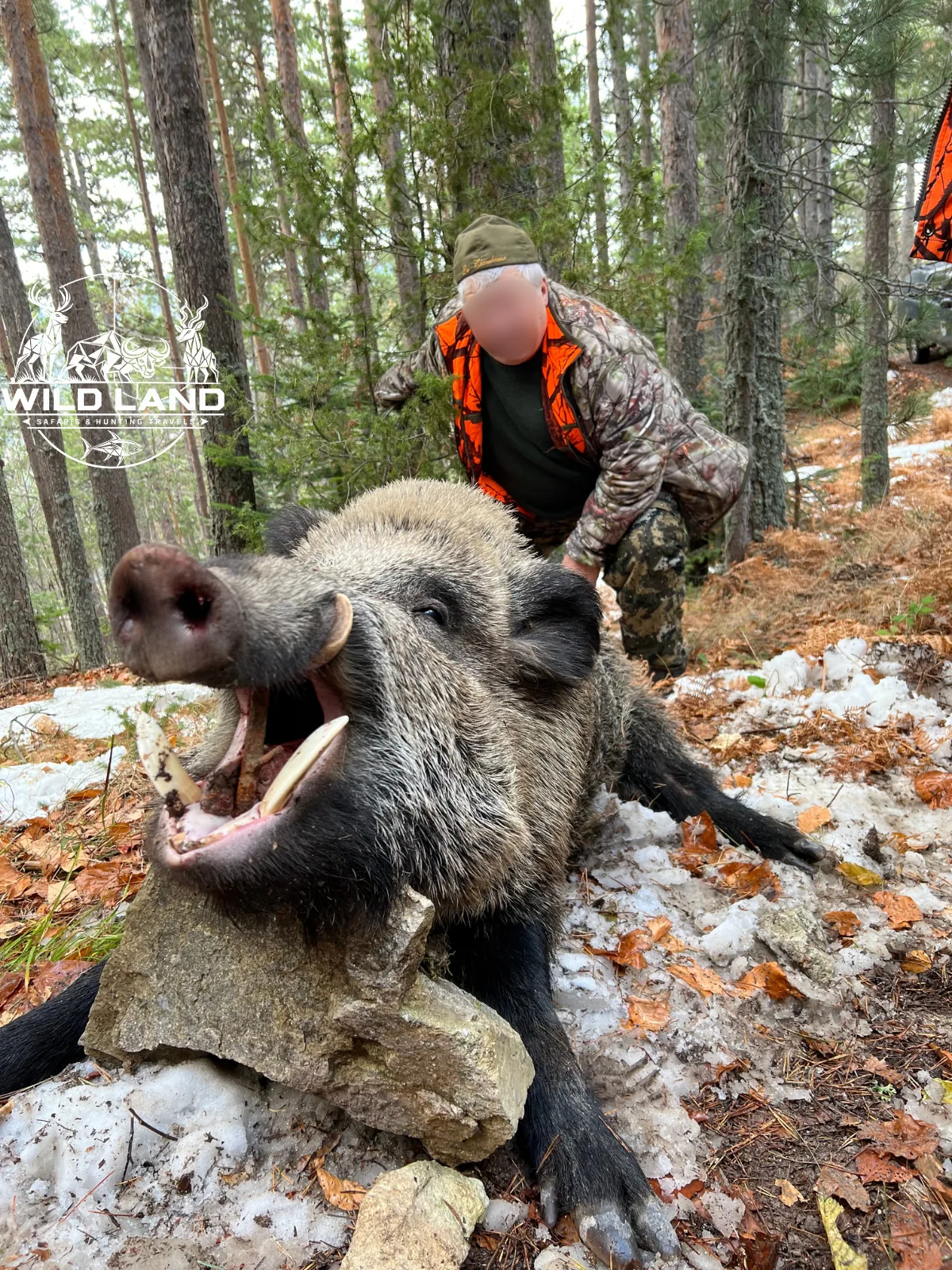 Bulgarie - séjour de chasse Wild Land