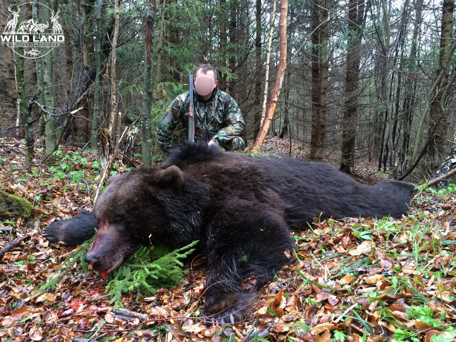 Roumanie - séjour de chasse Wild Land